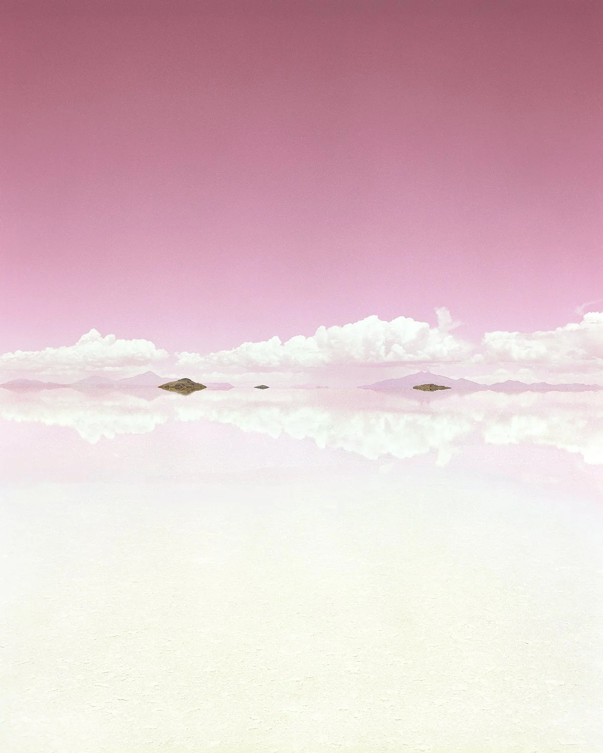 Pink Refelction