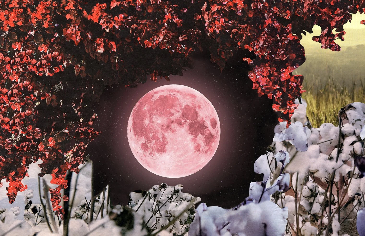 Strawberry Moon print