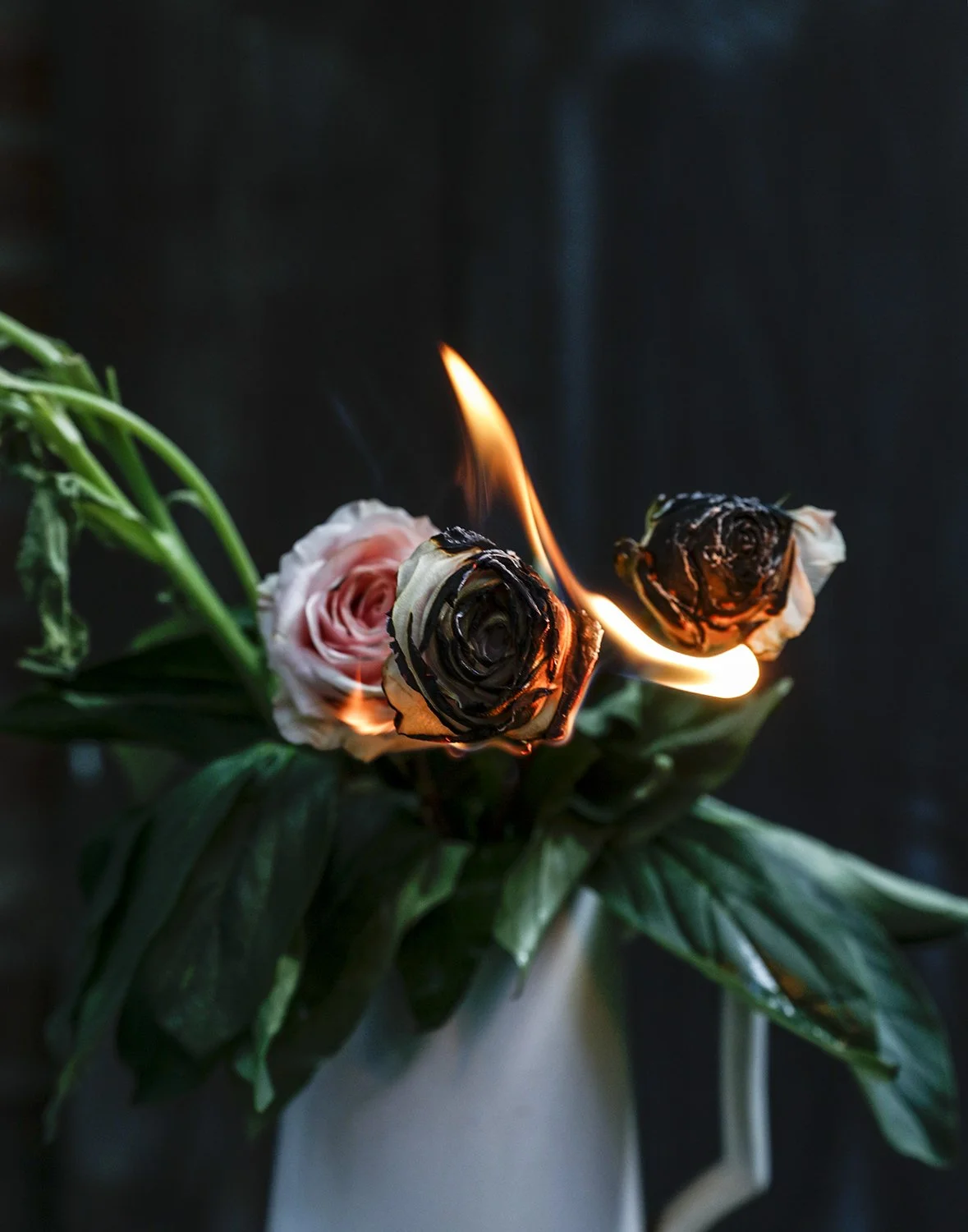 Fire Roses print
