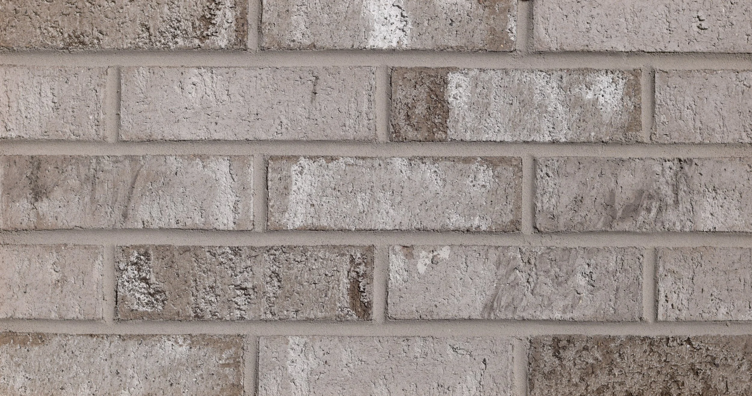 Vanderbilt Blend Bladecut