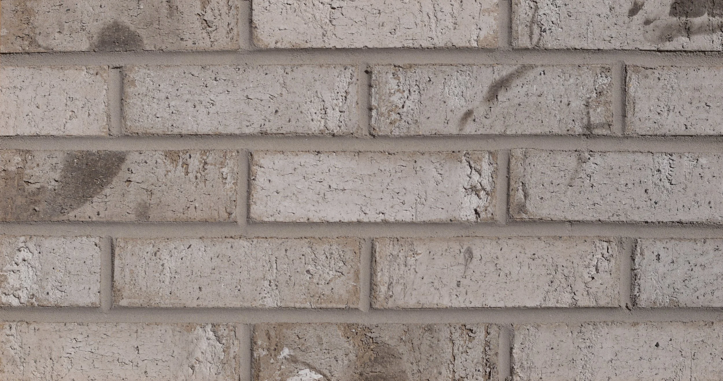 Executive Gray 2.0 Bladecut