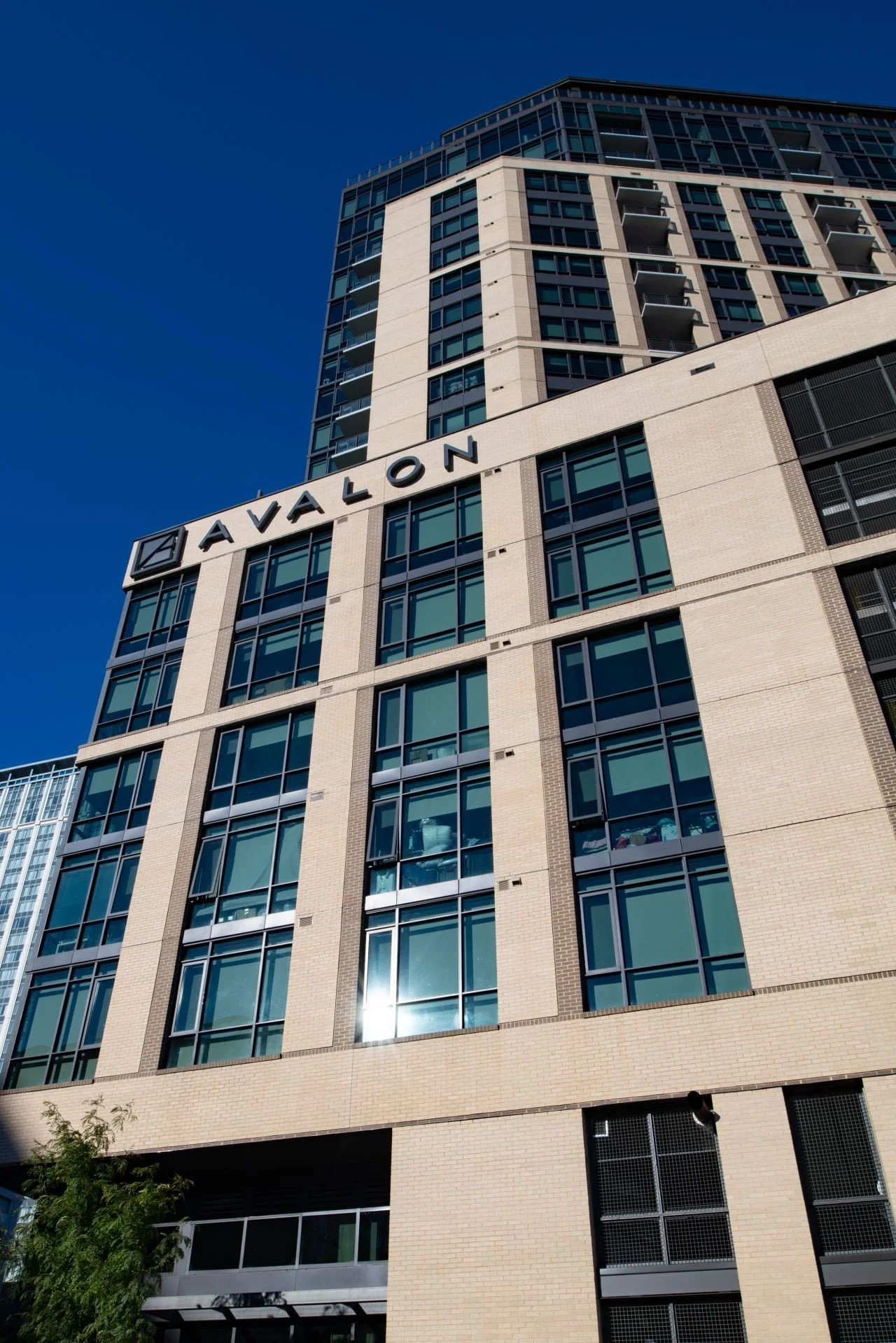 Avalon2 319 and 323 Modular.jpeg