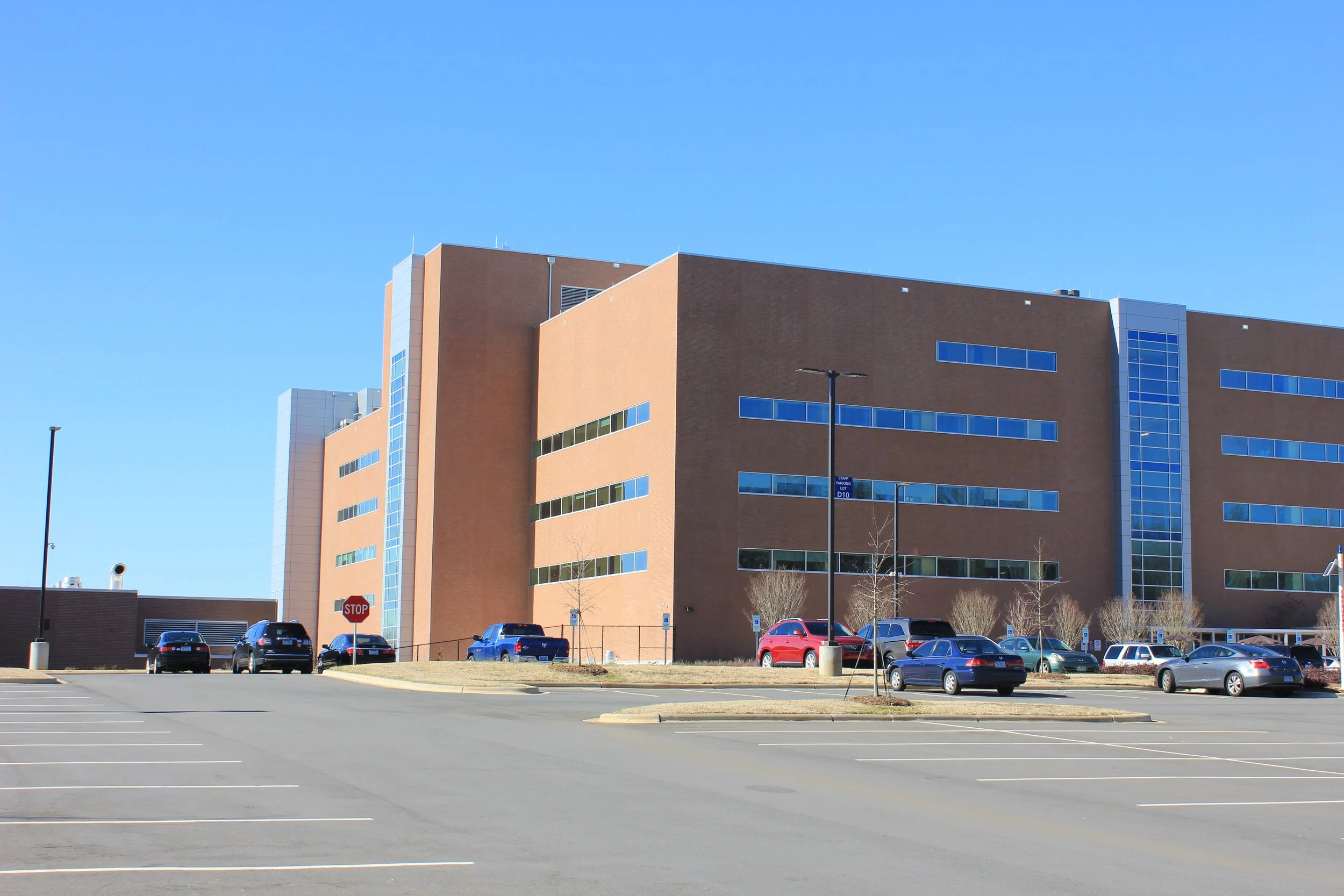 Coppertone Thin Brick VA Charlotte 3.JPG