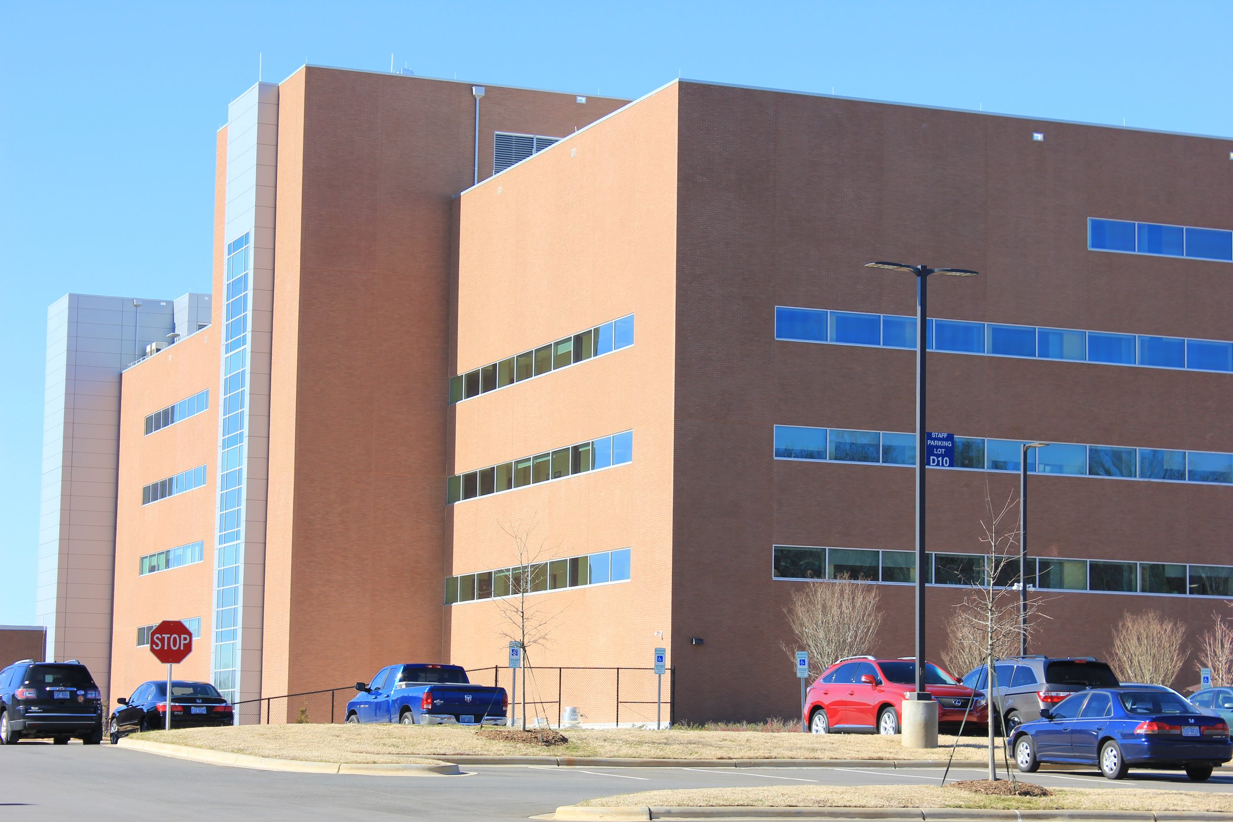 Coppertone Thin Brick VA Charlotte 2.JPG