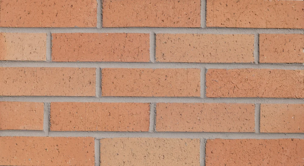 305 Flash Wirecut — Taylor Clay Products
