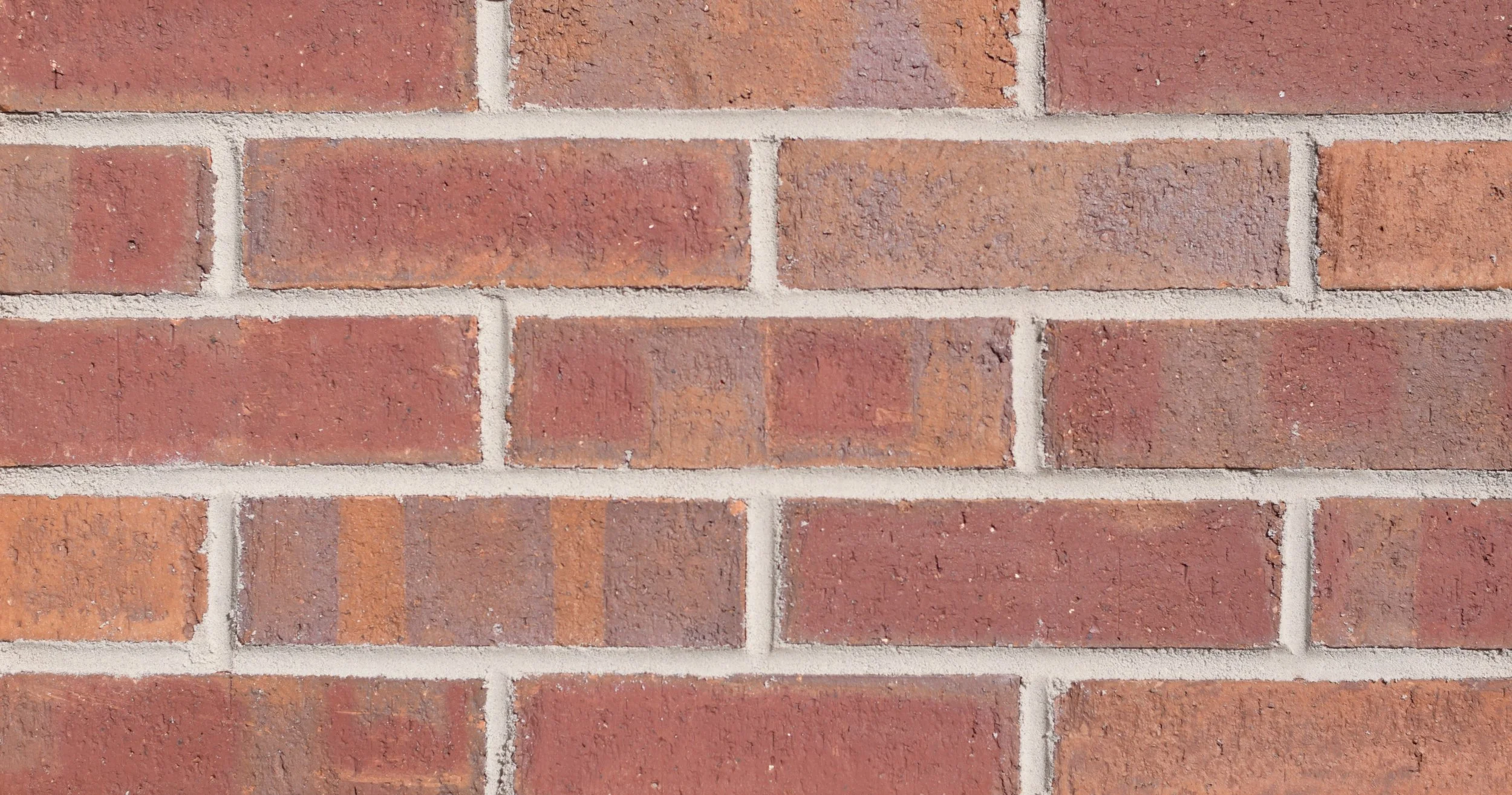 Red Clover Flash Bladecut