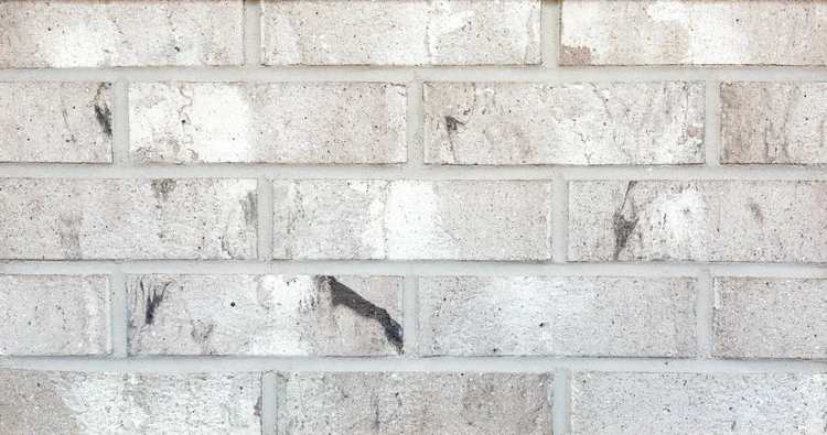 Executive Gray Bladecut — Taylor Clay Products