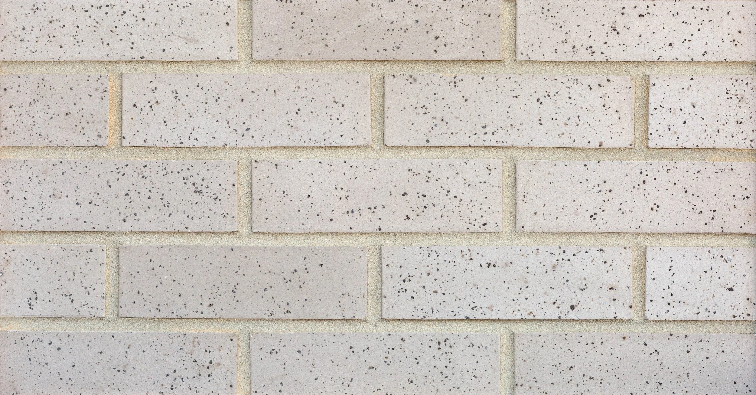 Oyster Ironspot Smooth