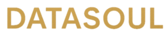 datasoul