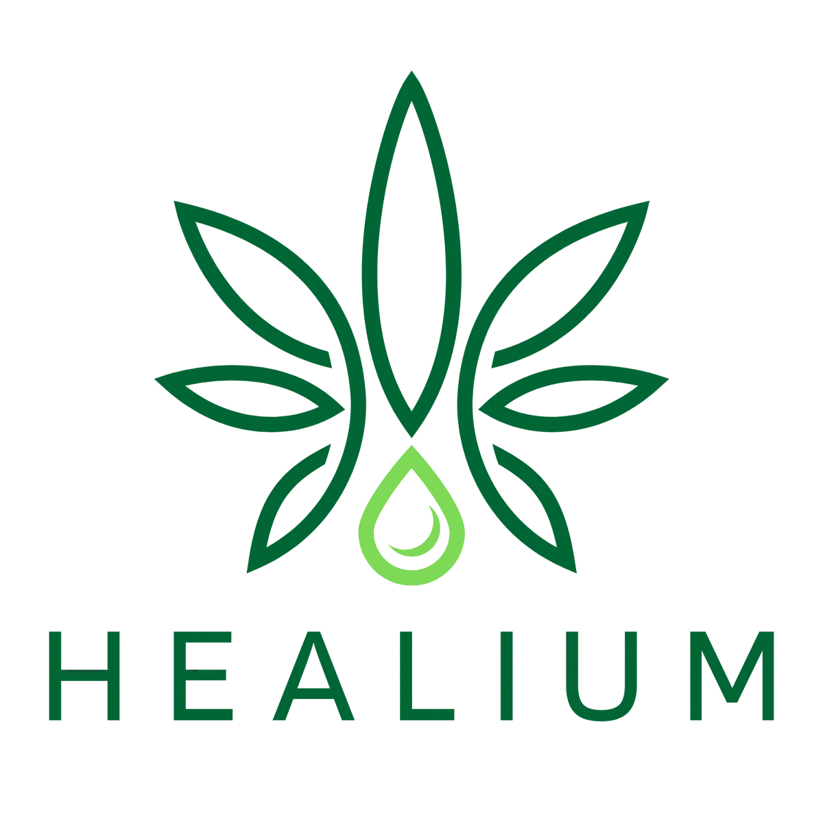 Logo with a stylized butterfly made from leaf and drop shapes, and the word 'HEALIUM' below in green text.