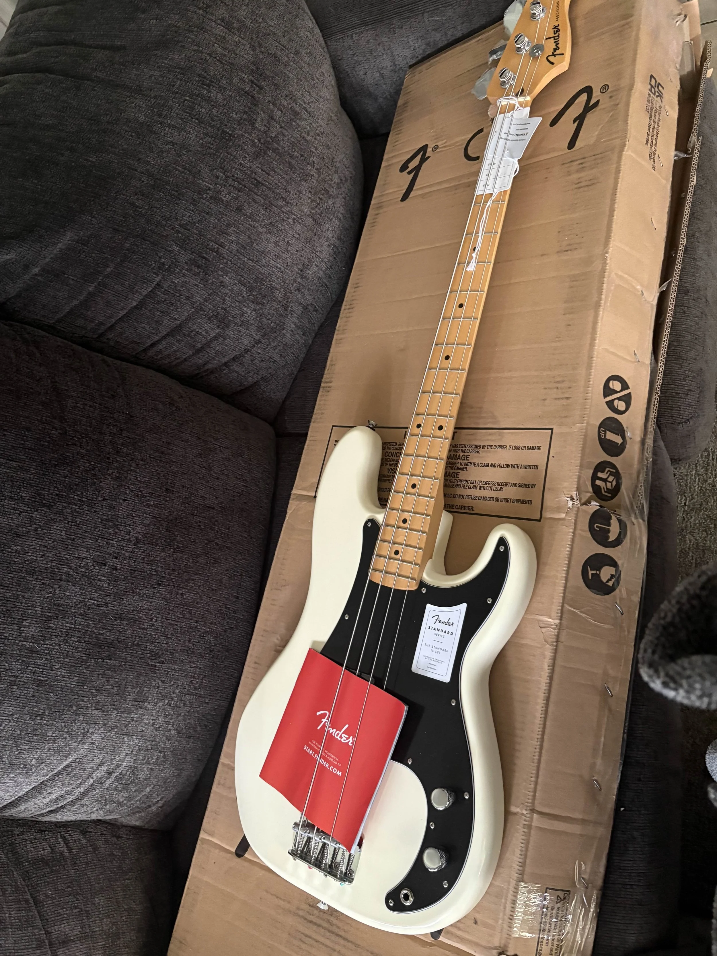 Brand new Fender Jaguar electric bass guitar resting on its original cardboard box, with a black pickguard, four control knobs, and a maple neck, on a dark gray sofa.