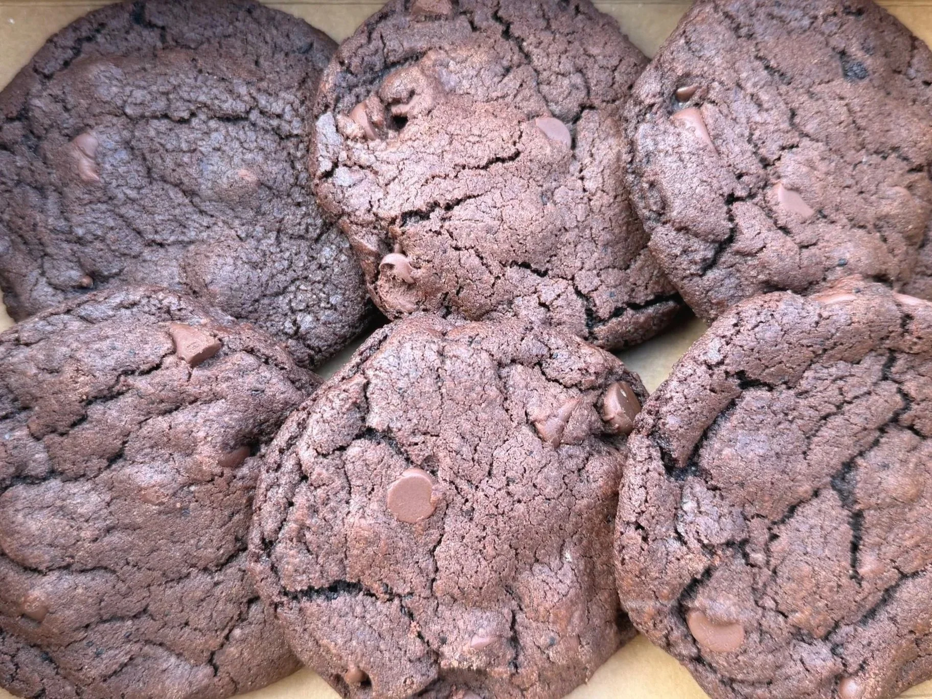 Close-up image of six large, double chocolate espresso cookies