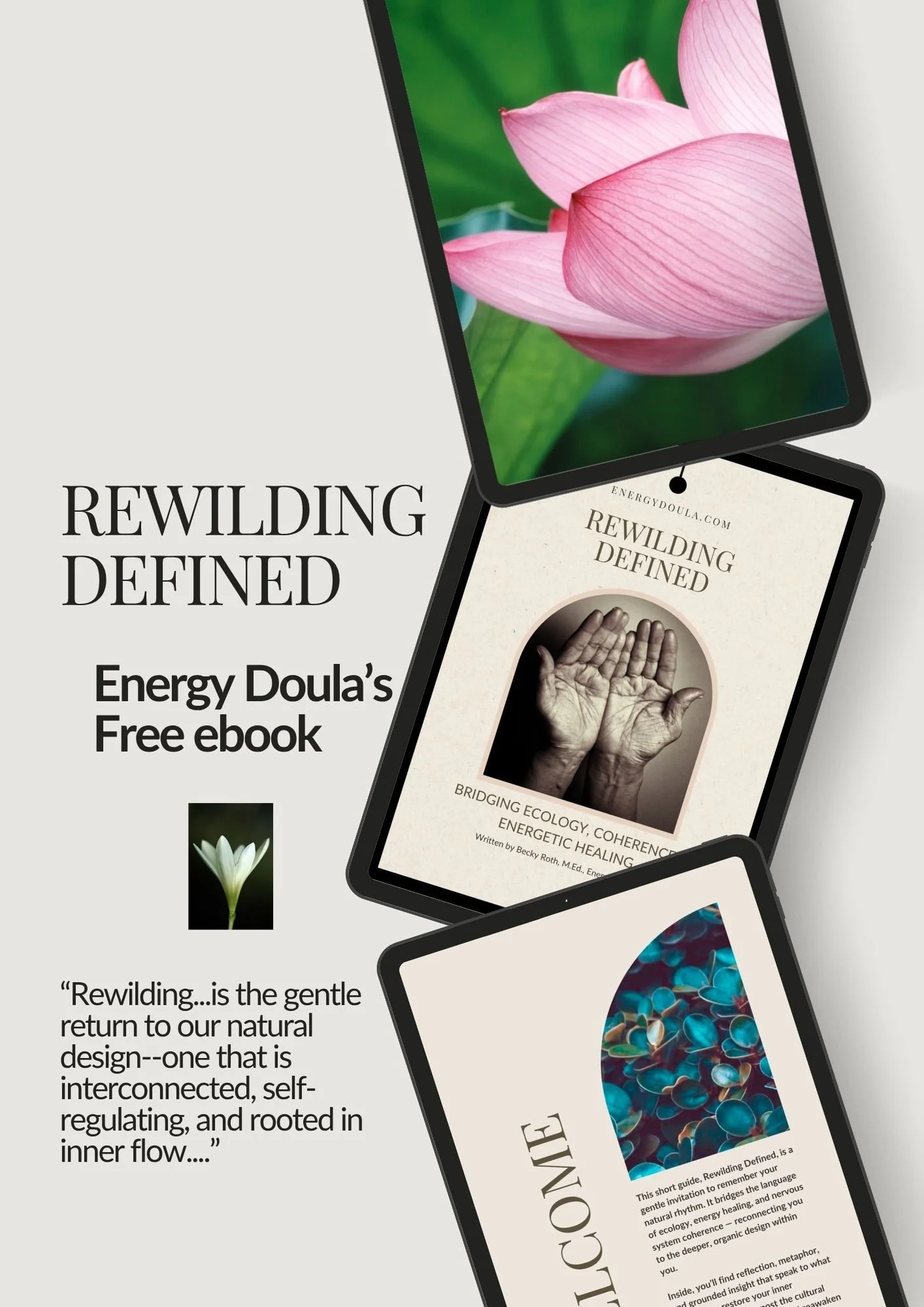 A promotional graphic for Energy Doula's free ebook titled 'Rewilding Defined,' featuring images of pink, white, and multicolored flowers on digital tablets, with a quote about rewilding and a description of the ebook's themes.