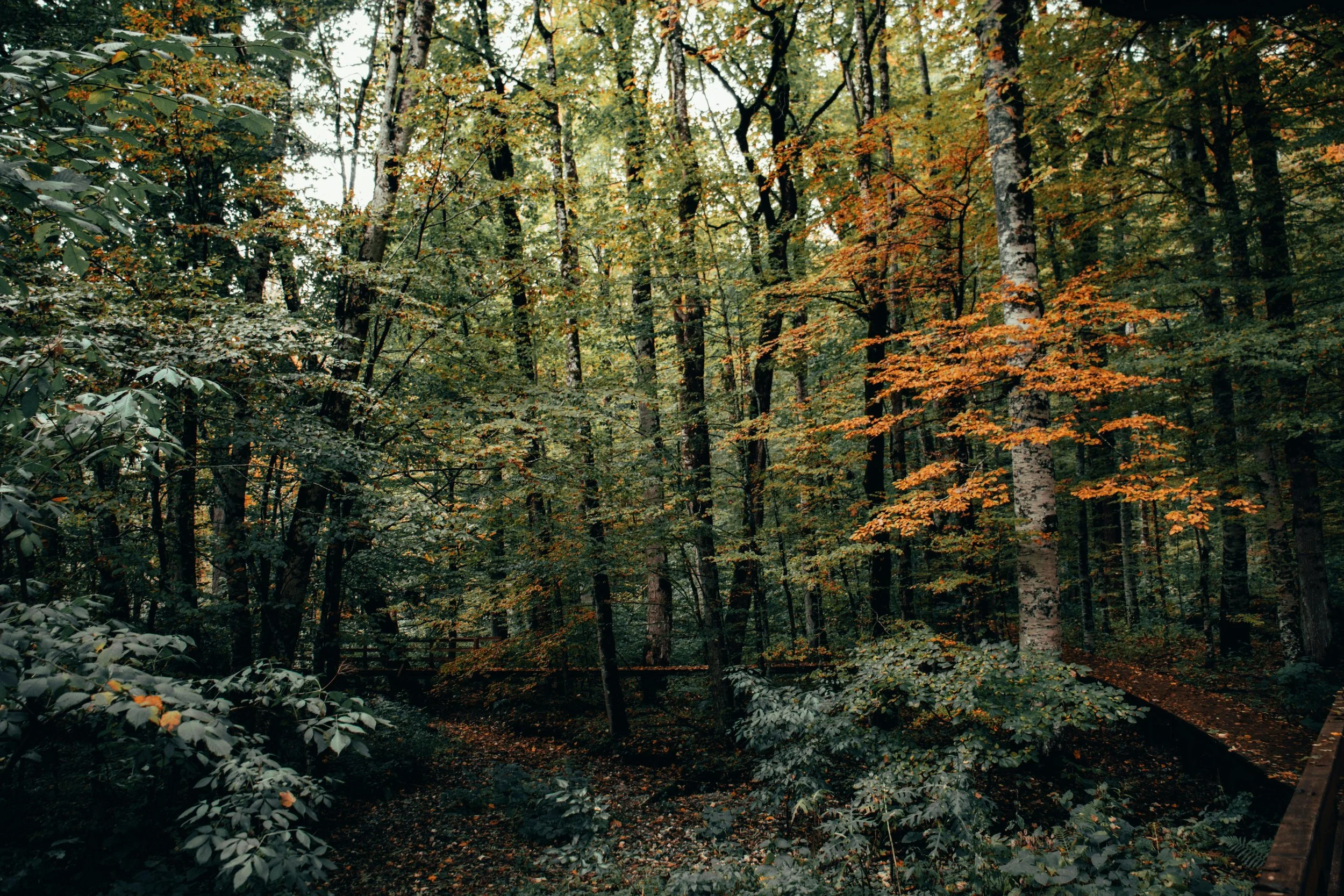 The Shift Happens Long Before You See It