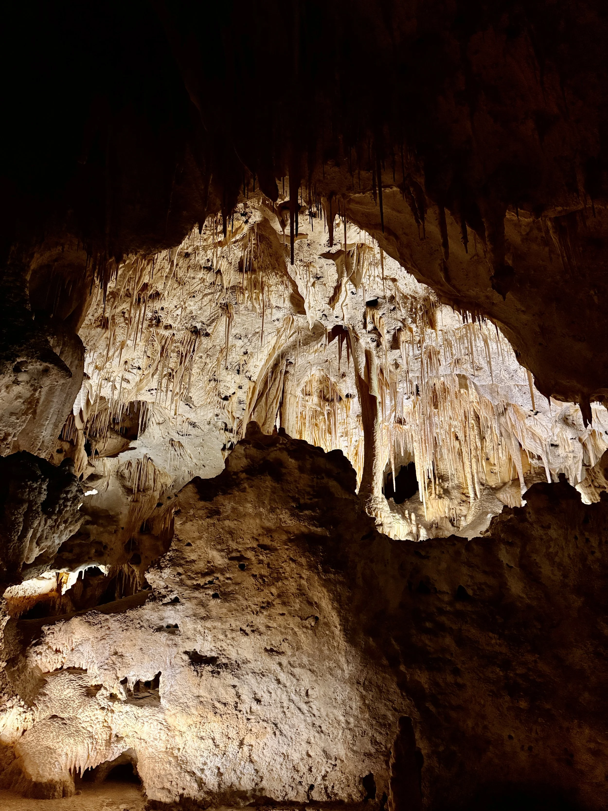 Formed In the Dark: Carlsbad Caverns