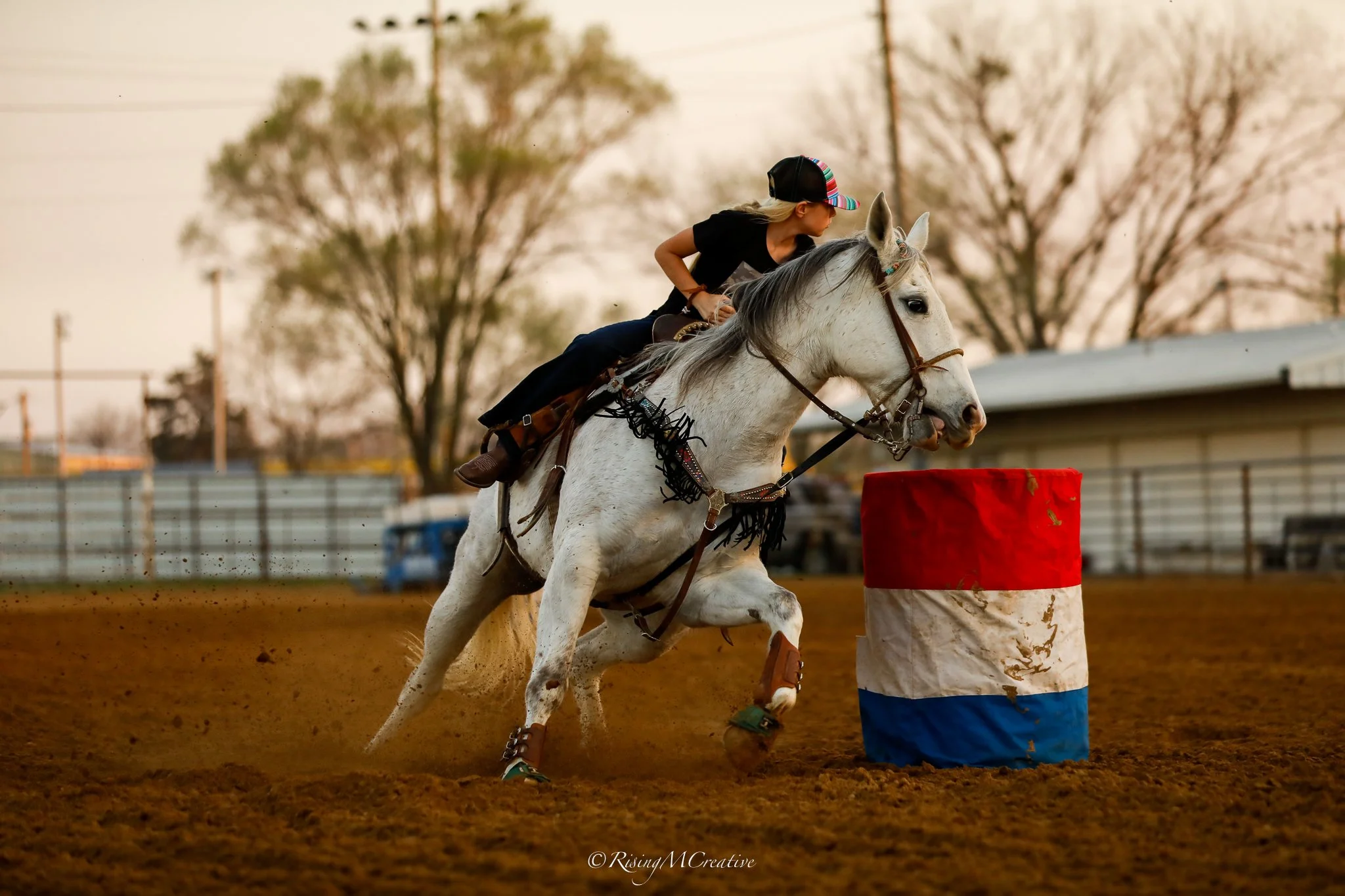 Rider guiding a white horse over a barrel during a rodeo event, with trees and a fence in the background.