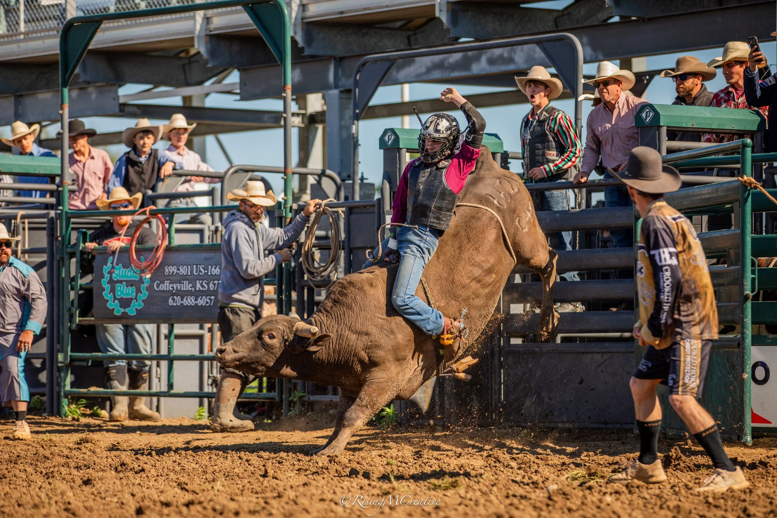 Rodeo scene with a cowboy riding a bucking calf while others and spectators watch from the stands and rodeo arena.