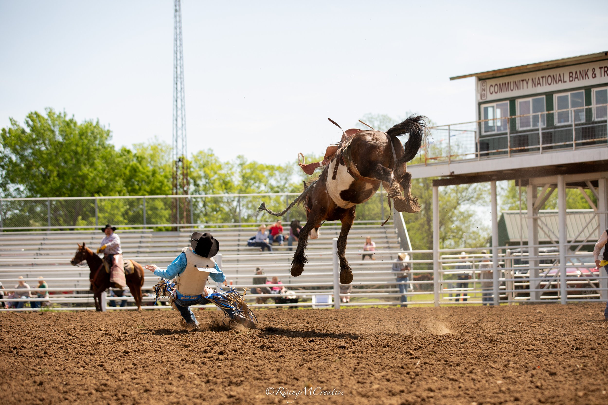 A rodeo scene with a bucking horse and cowboy. A person dressed in western attire is on horseback, while a young rider in a blue outfit and cowboy hat is falling off a horse. The background features empty bleachers, a few spectators, and a sign for C