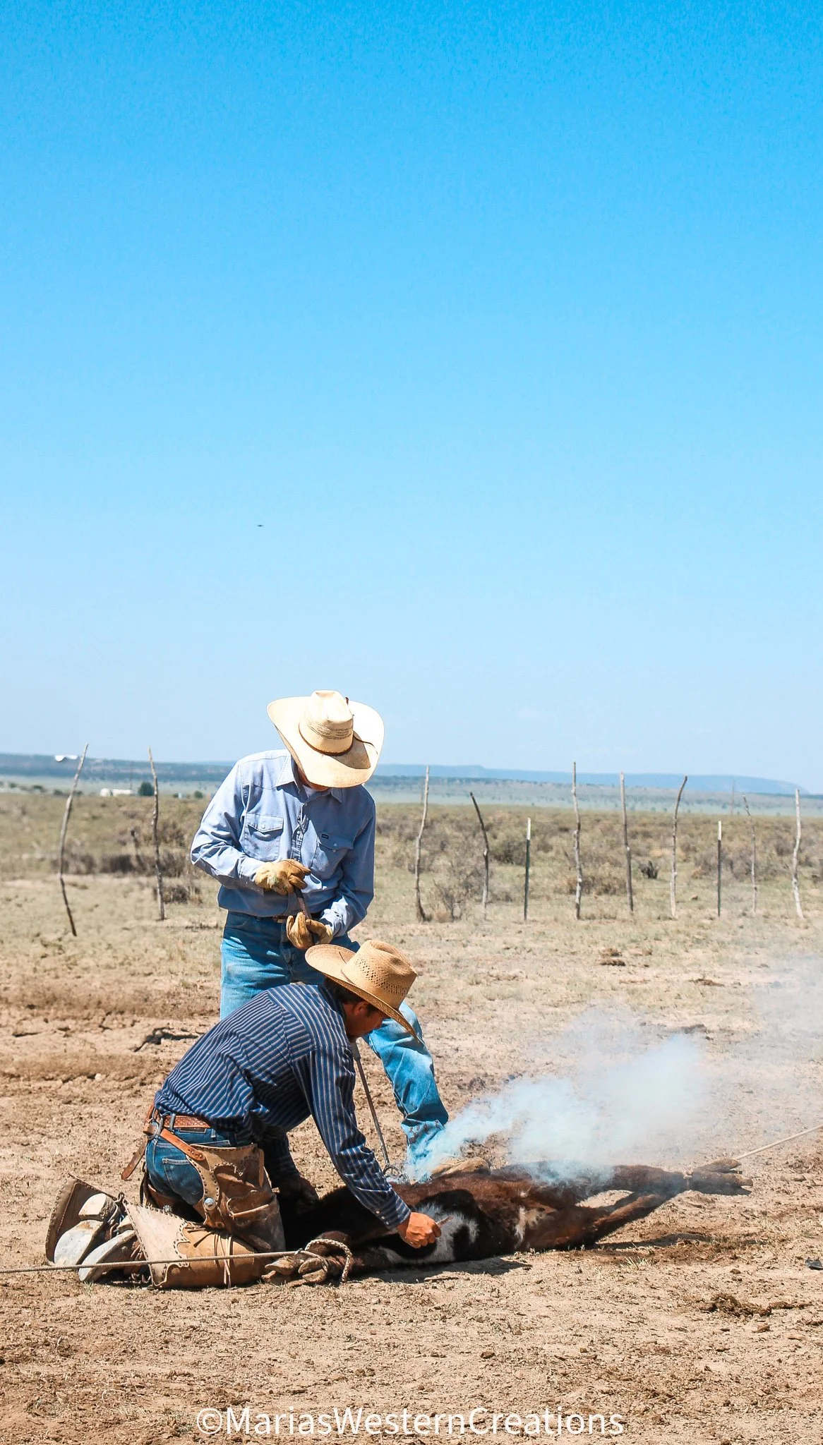 Two ranchers in cowboy hats tending to a cow that is lying on the ground with steam or smoke coming from it, in an open field with clear blue sky.
