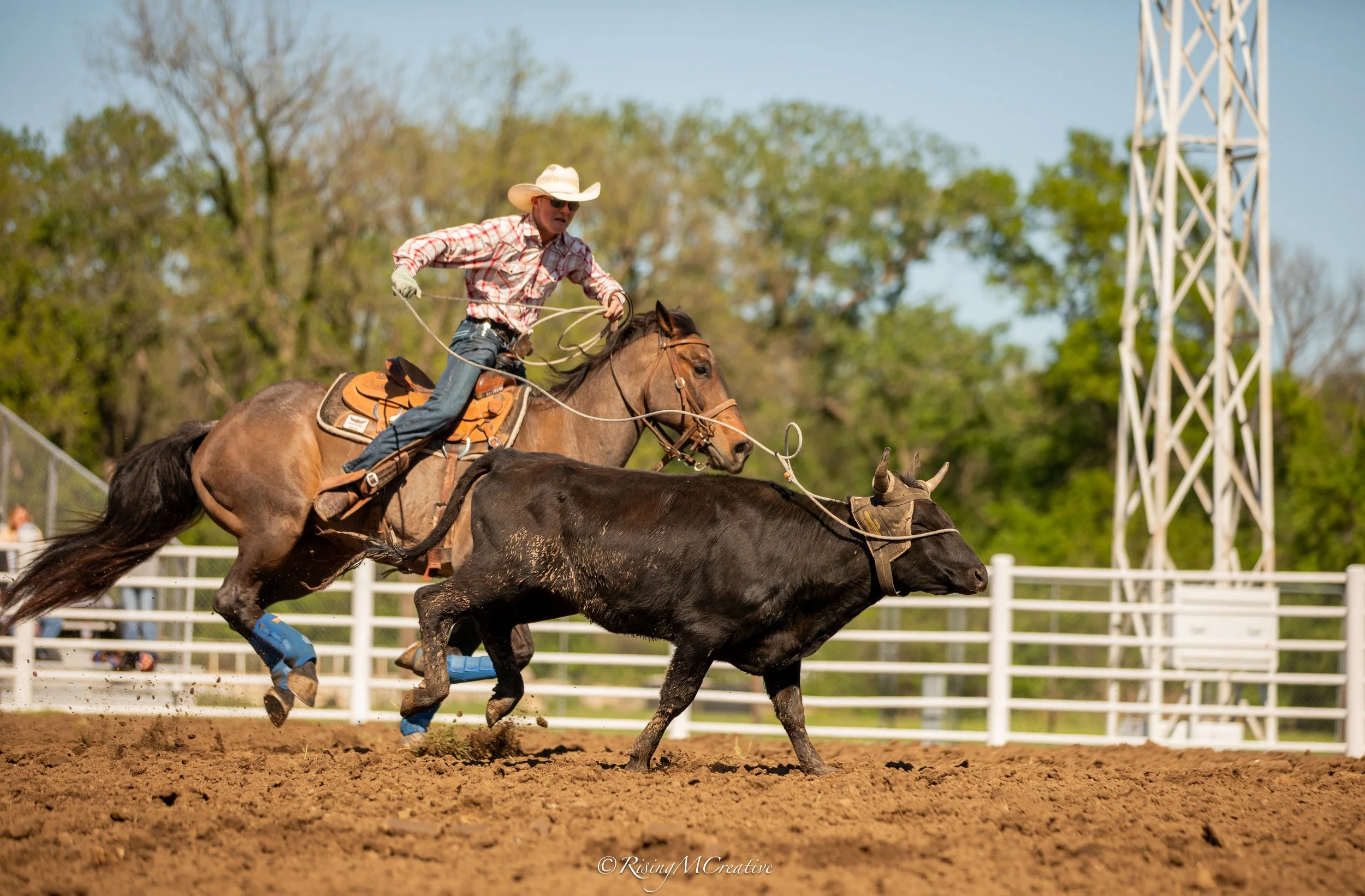 A cowboy in a checkered shirt, cowboy hat, and sunglasses riding a bucking steer during a rodeo event, with a background of trees, a metal tower, and a white fence.