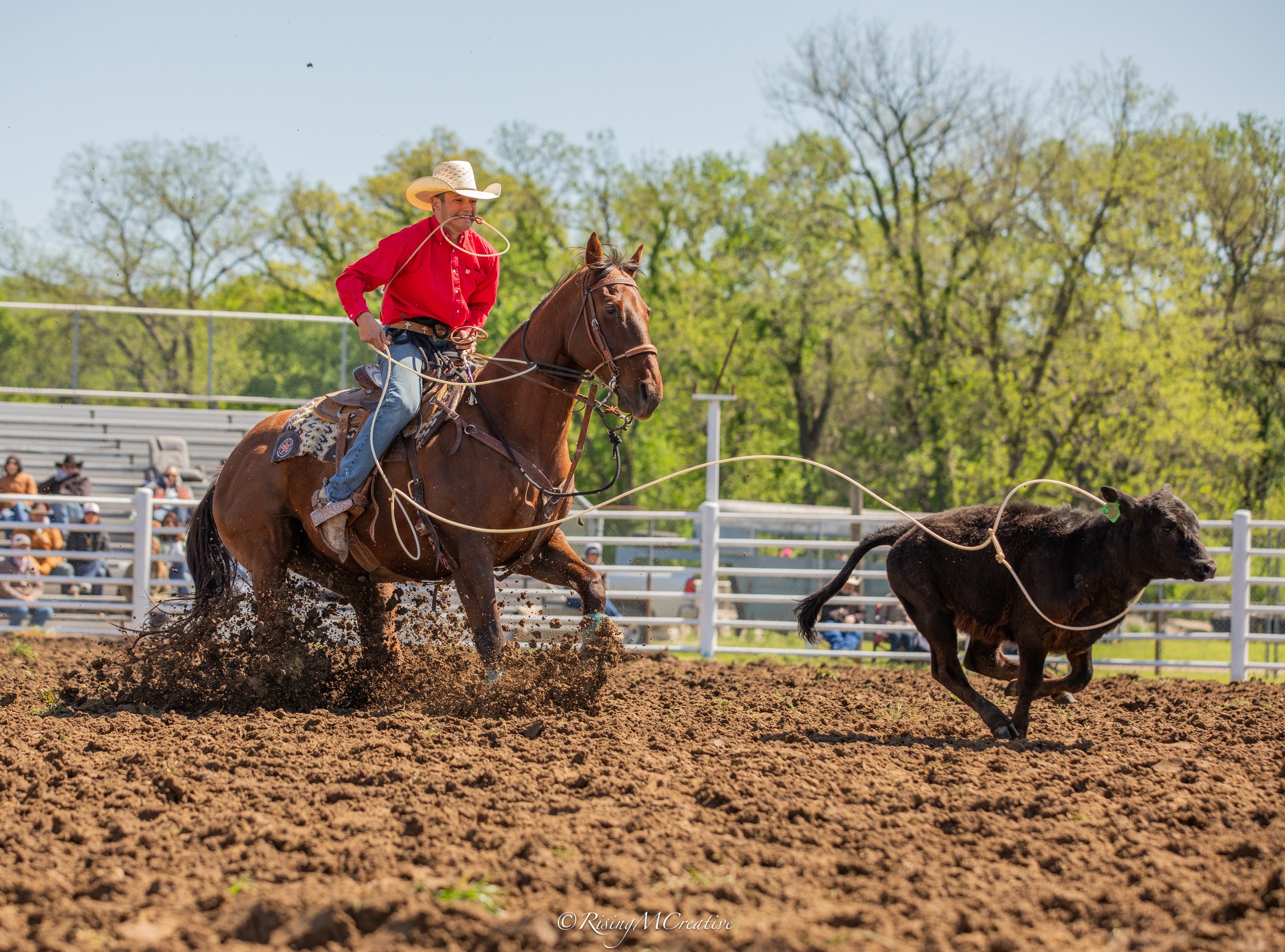 A cowboy riding a horse during a rodeo, wearing a red shirt and a cowboy hat, with other spectators in the background. The horse is kicking up dirt as they move quickly.