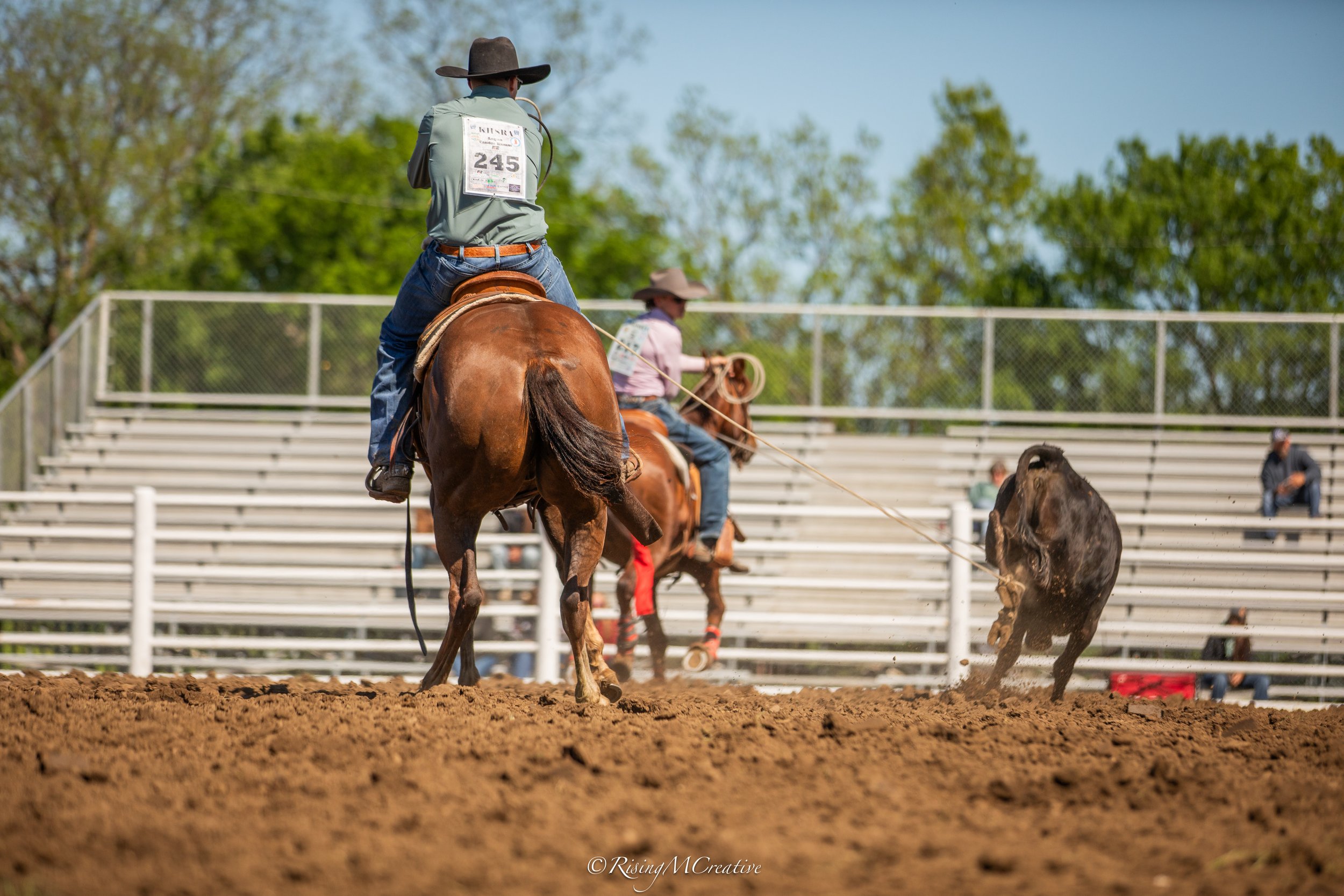 A person riding a horse in a rodeo arena, participating in a calf roping event, with another rider and a calf in the background, and empty bleachers beyond with trees and a blue sky.