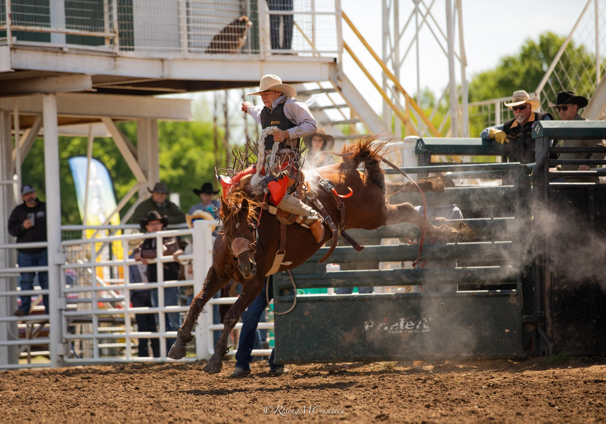 Rodeo cowboy jumping off a bucking horse over a fenced barrier with judges and spectators at the rodeo in the background.