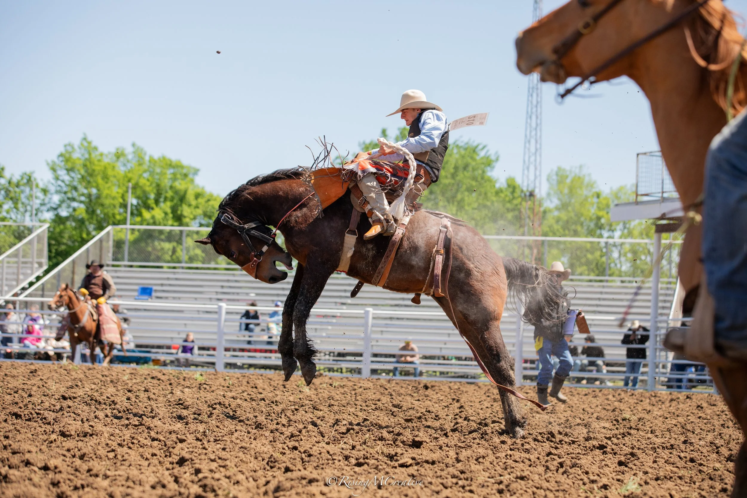 Rodeo scene with a cowboy riding a bucking horse in an arena, with spectators in the background and other riders.