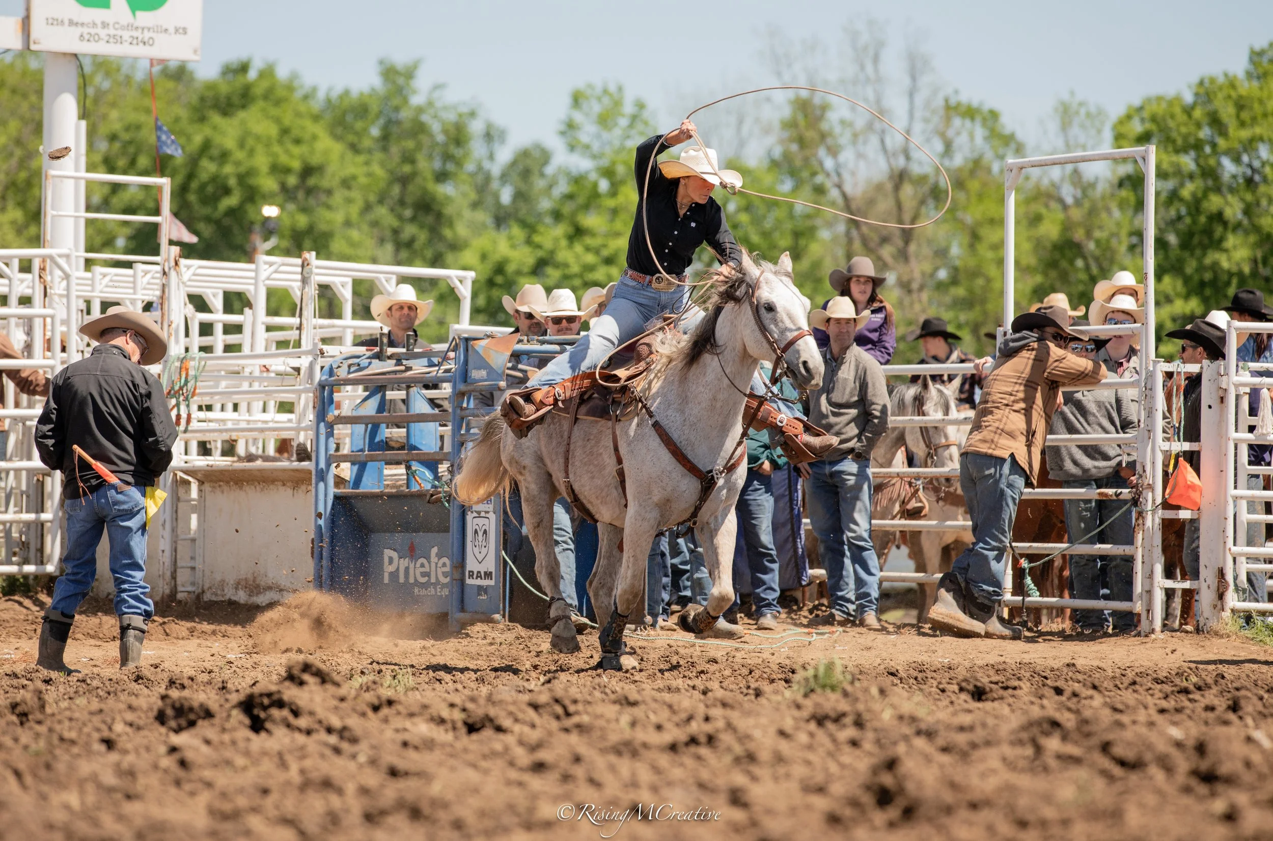 A cowboy riding a bucking horse during a rodeo event, with spectators and officials watching from behind a metal fence.