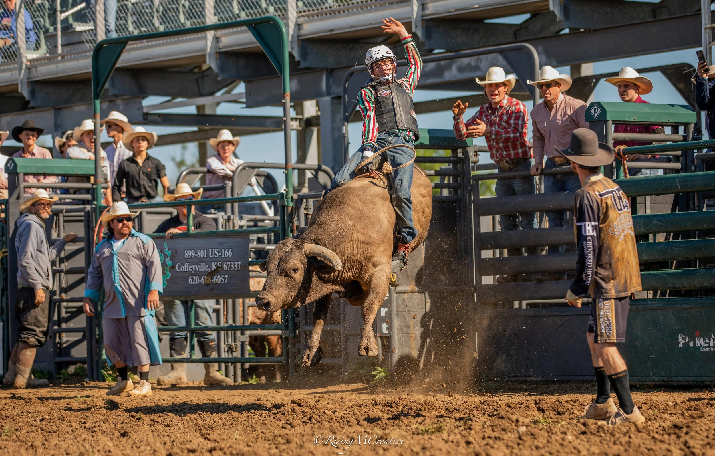 A rodeo event with a cowboy riding a bucking bull, surrounded by rodeo officials and spectators in cowboy hats, set against metal fencing and bleachers.