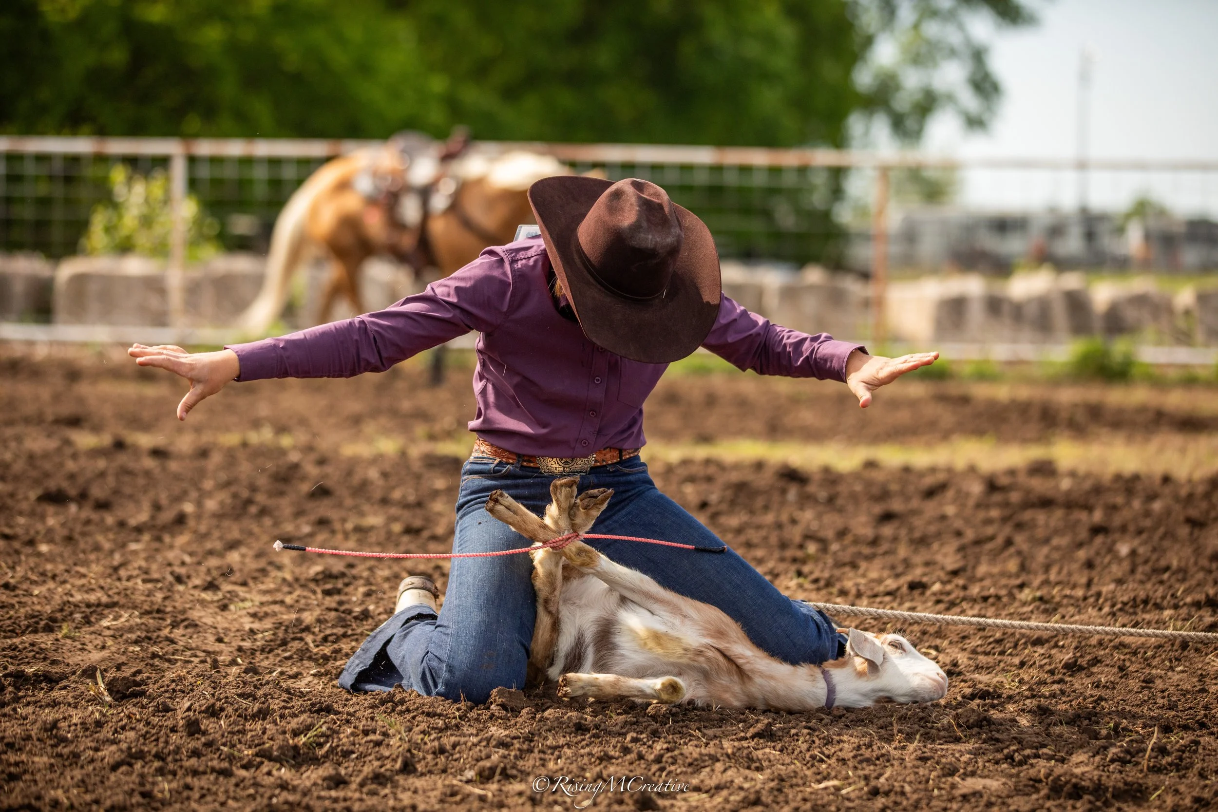 A person dressed in western attire, including a wide-brimmed hat, is participating in a rodeo event with a calf, lying on the ground. The person appears to be trying to control or hold onto the calf while another person is in the background. The sett