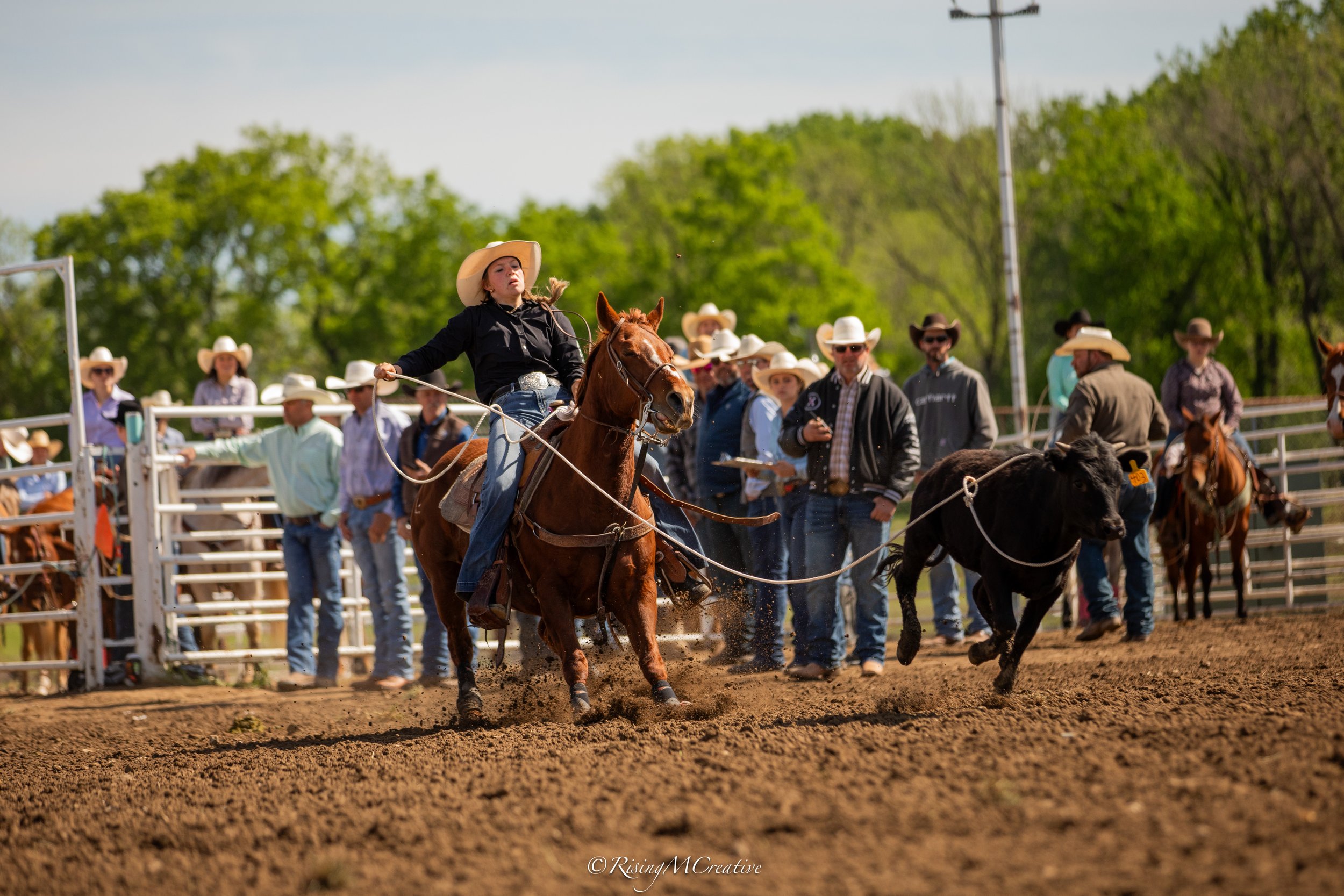 A young girl riding a bucking horse at a rodeo, surrounded by spectators and officials in cowboy hats.