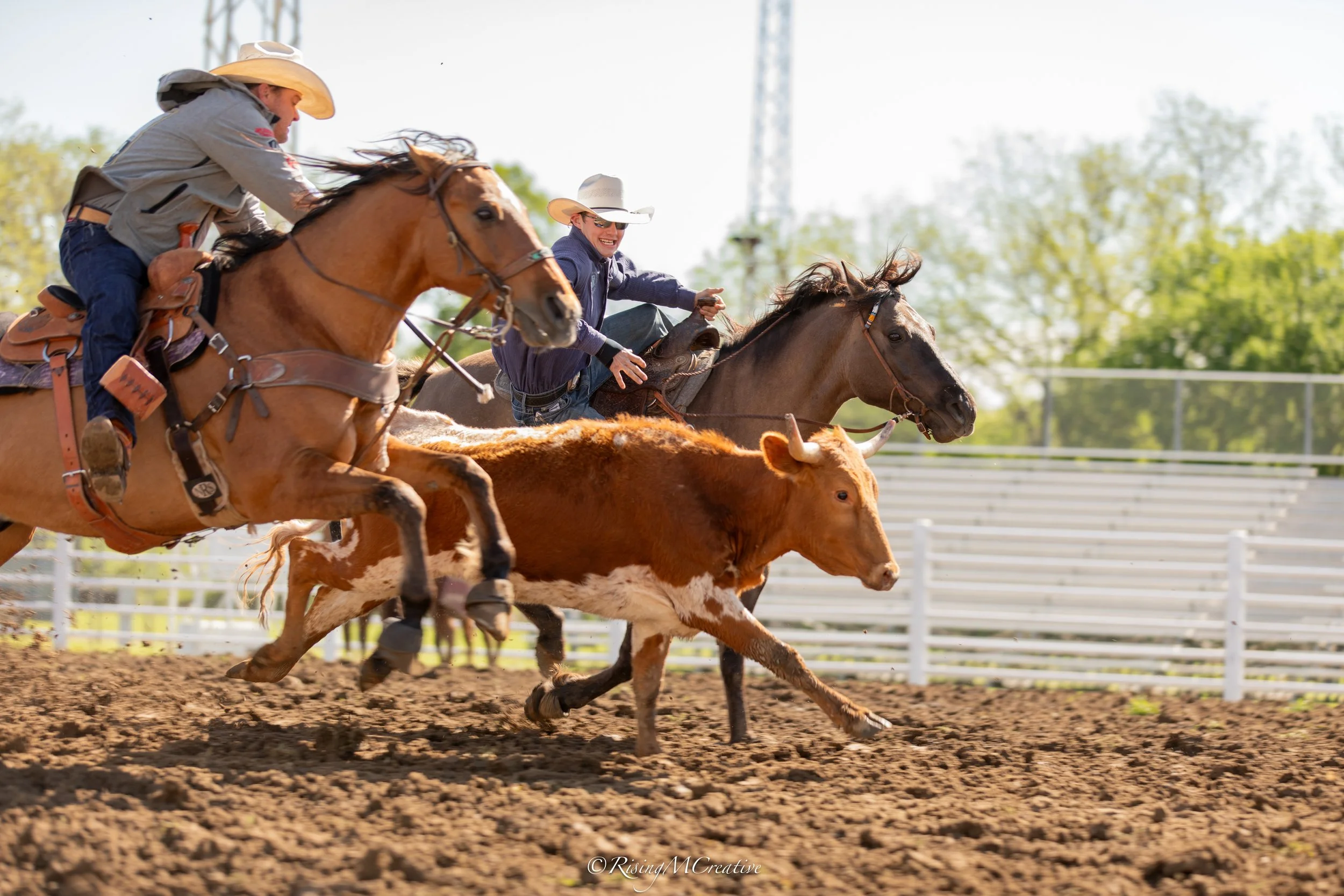 Cowboys riding horses and herding cattle on a dirt track during daytime with trees in the background.