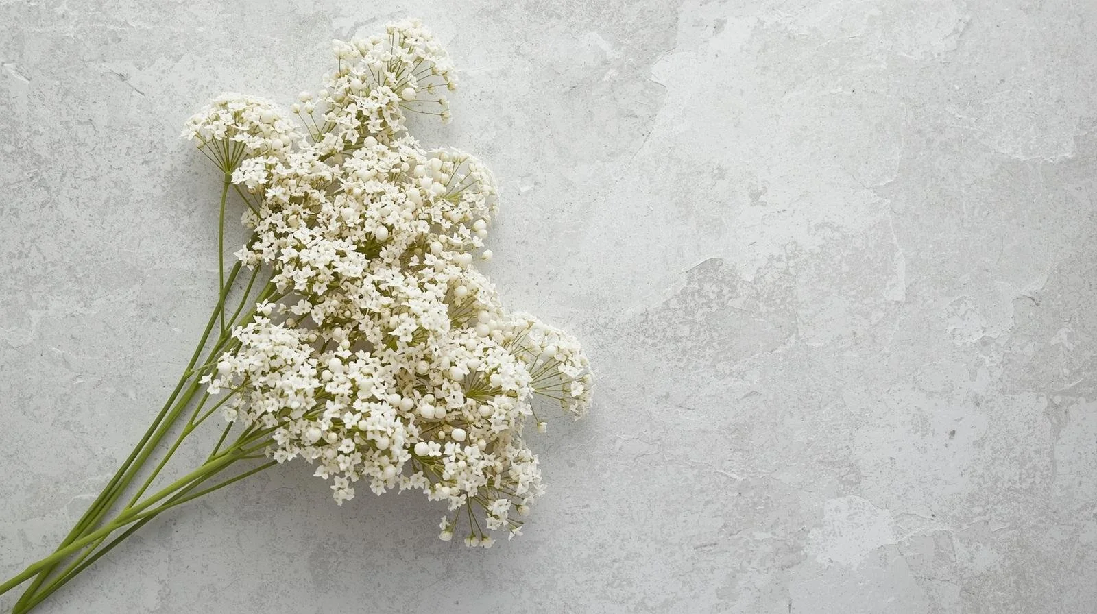 White bouquet of small flowers on a gray textured background