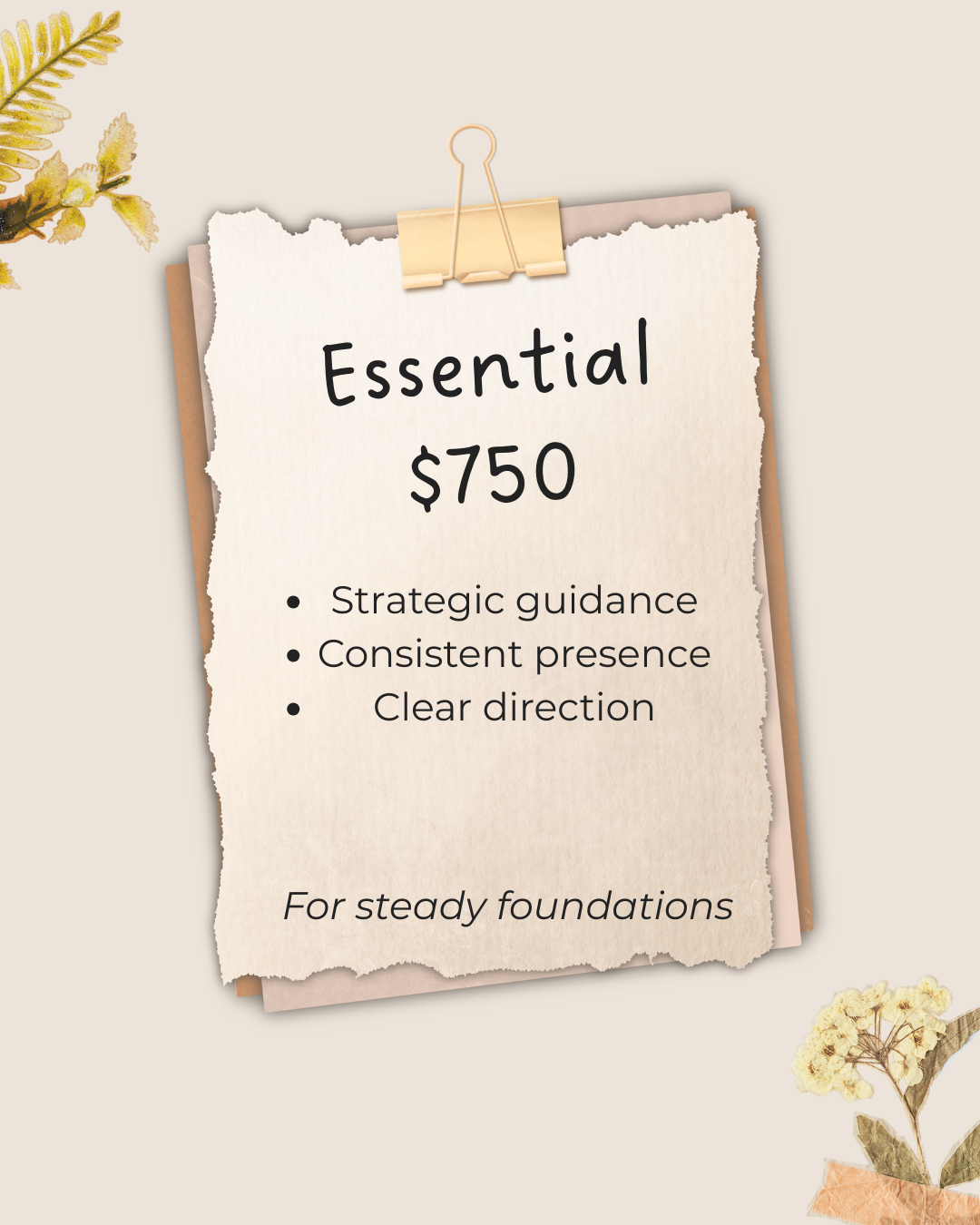 essential package picture bullet points of overview