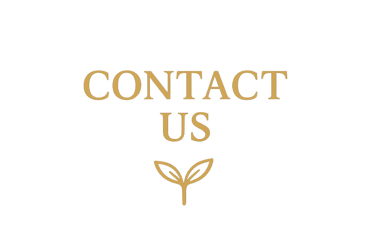 contact us pic with leaf