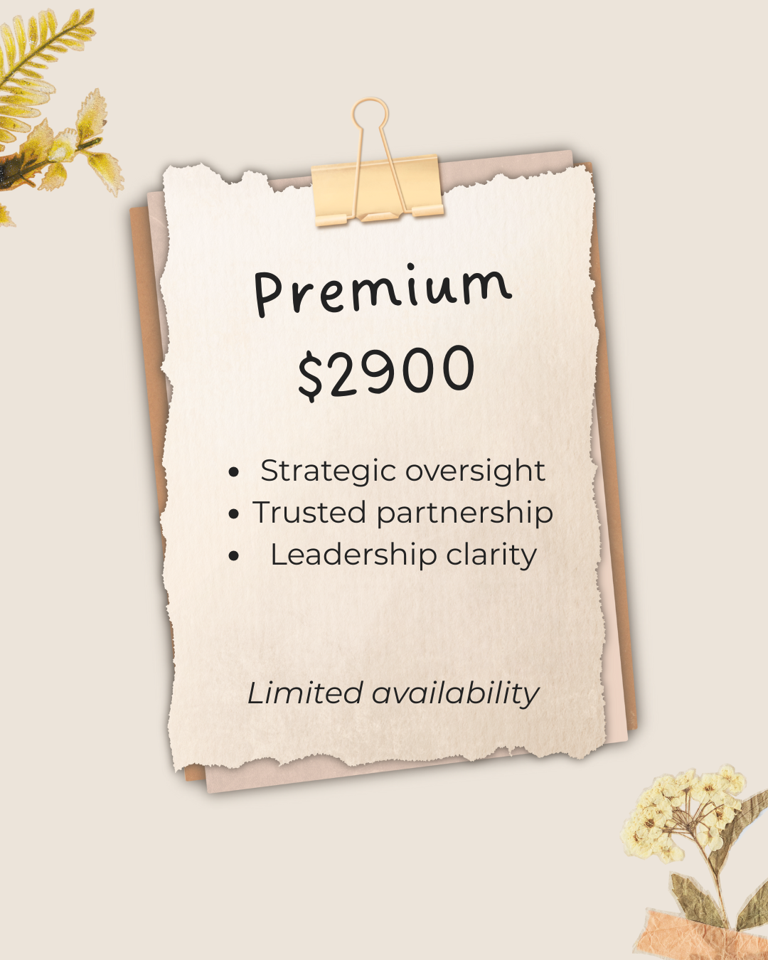 premium bullet point picture