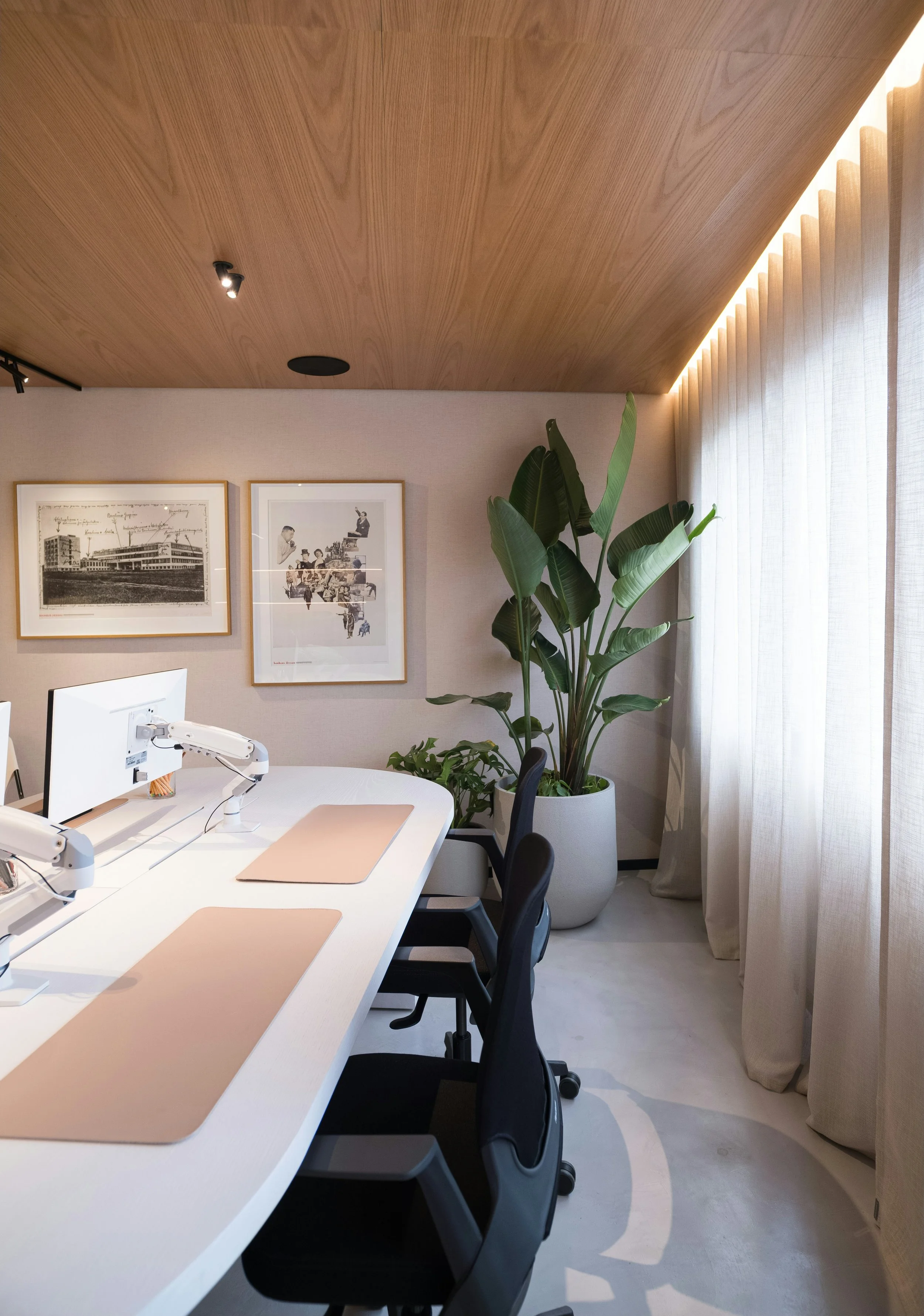 Modern office meeting room with a white table, black chairs, large potted plant, framed black-and-white photographs on the wall, window with curtains, and a wooden ceiling.
