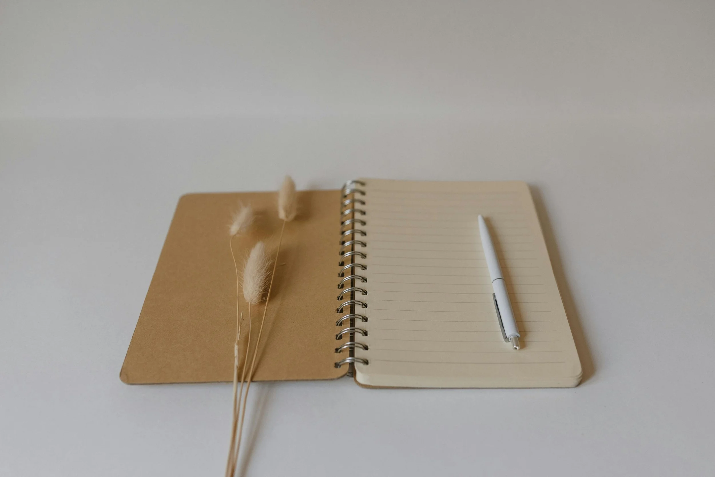 Open notebook with lined pages, a white pen placed on the right page, and beige dried flowers on the left side, all on a white surface.