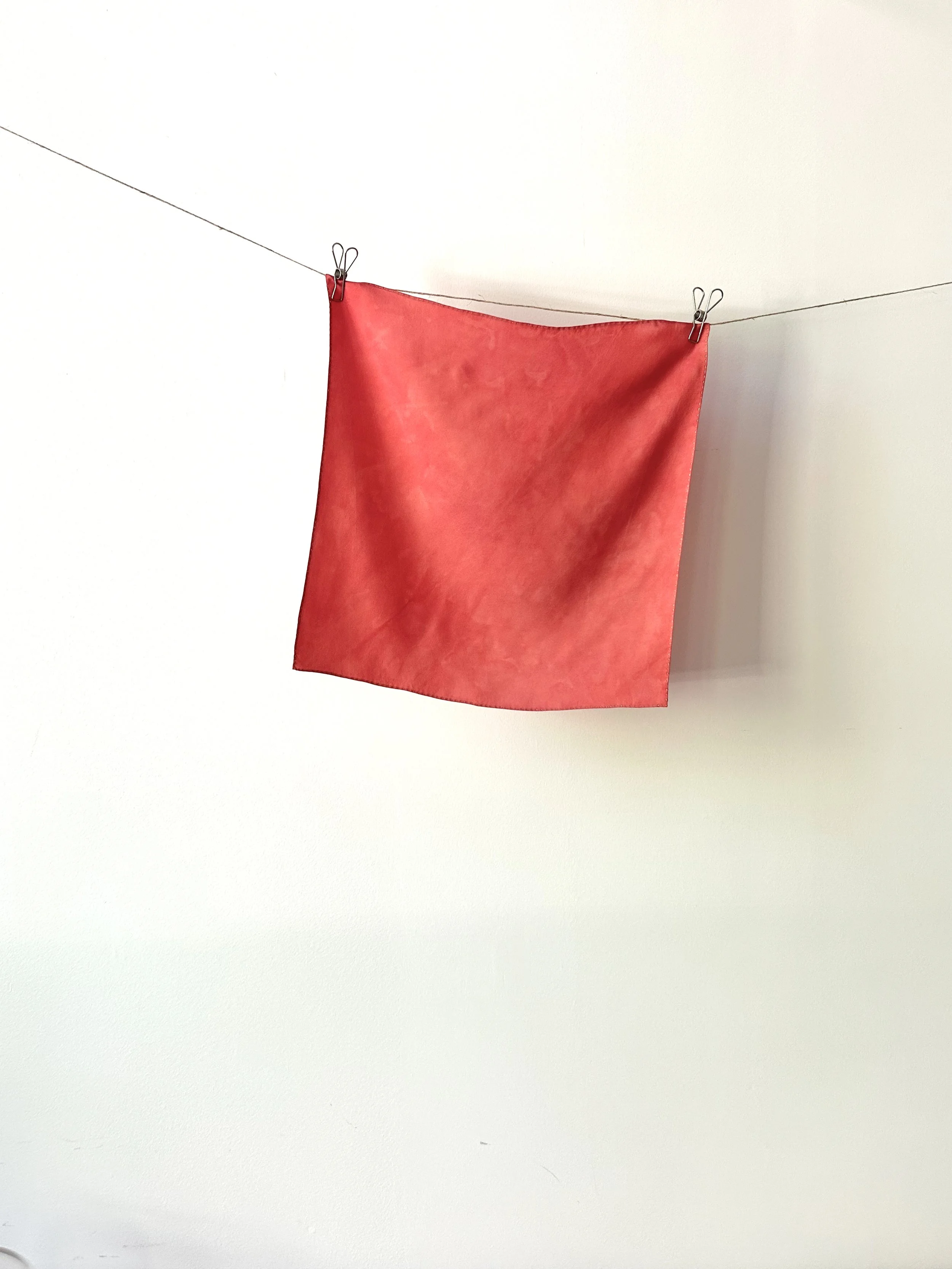 Cochineal + Madder + Walnut 01 - Square 17