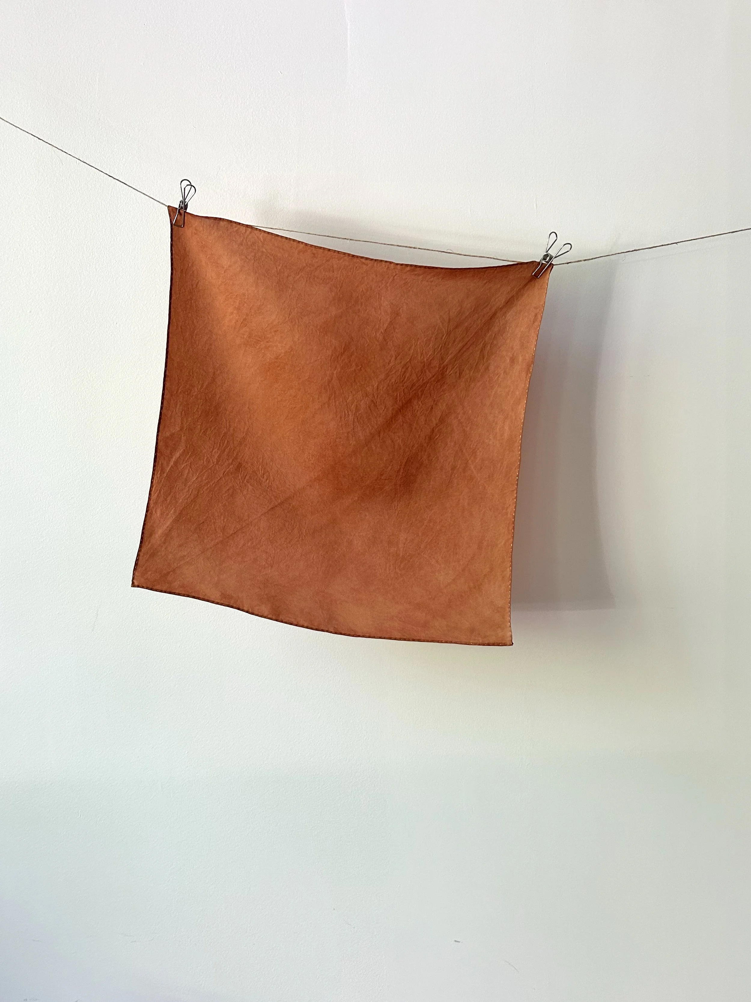Persimmon 01 - Square 20