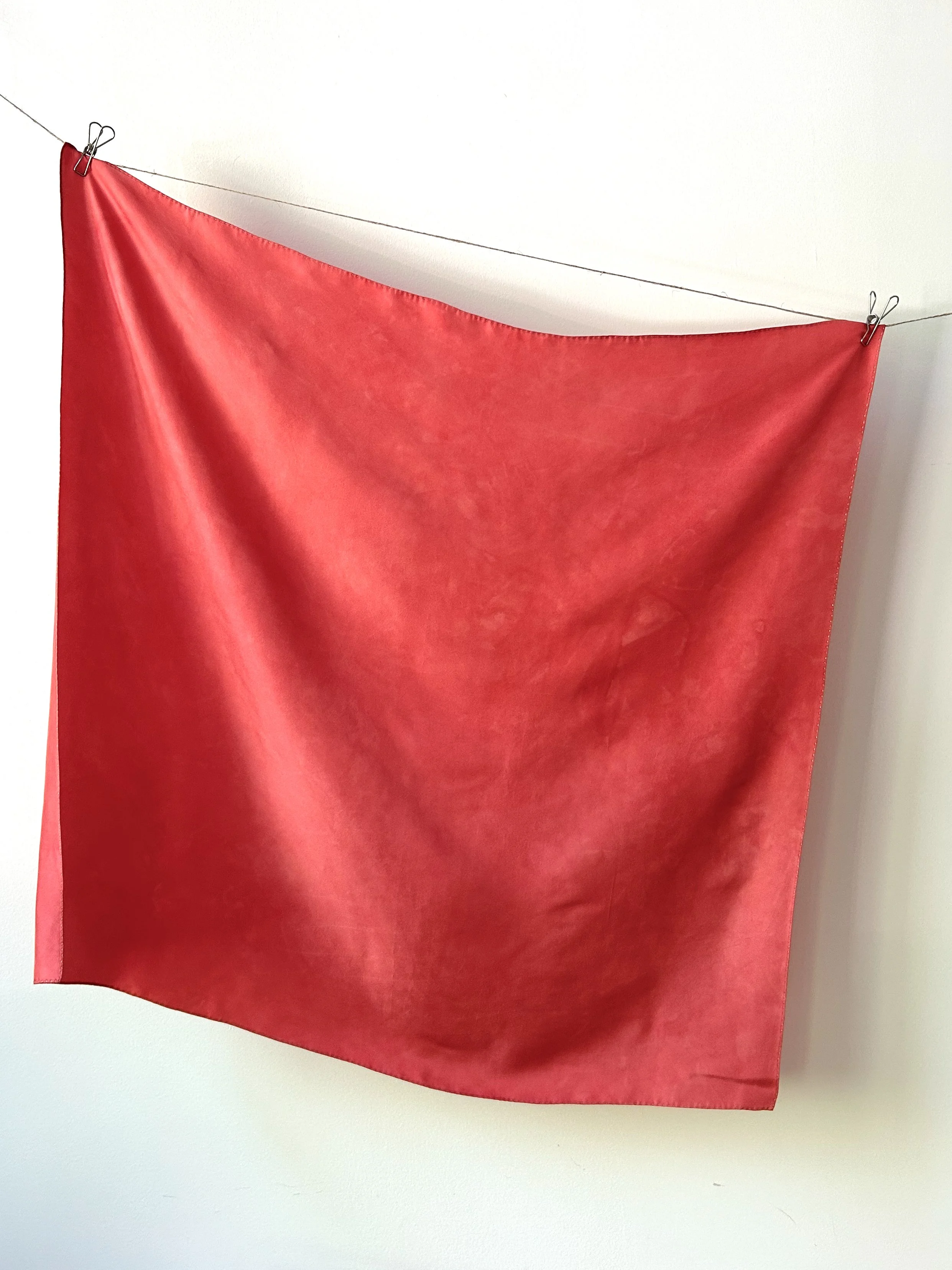 Cochineal + Madder + Walnut 01- Square 35