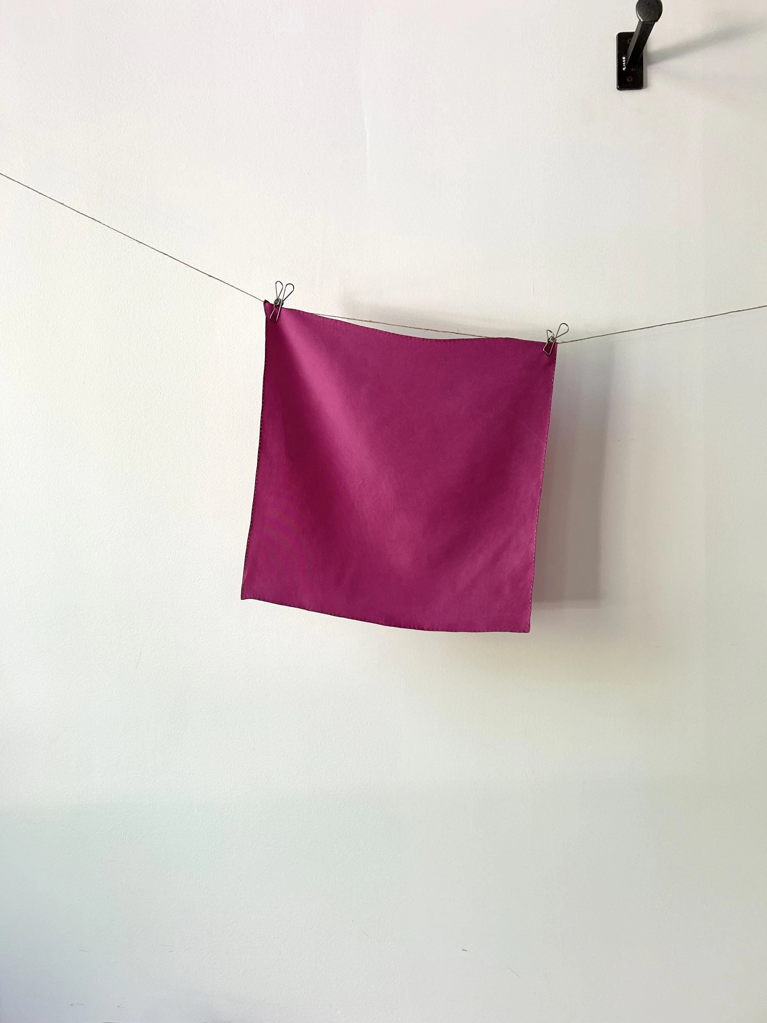 Cochineal 01 - Square 17