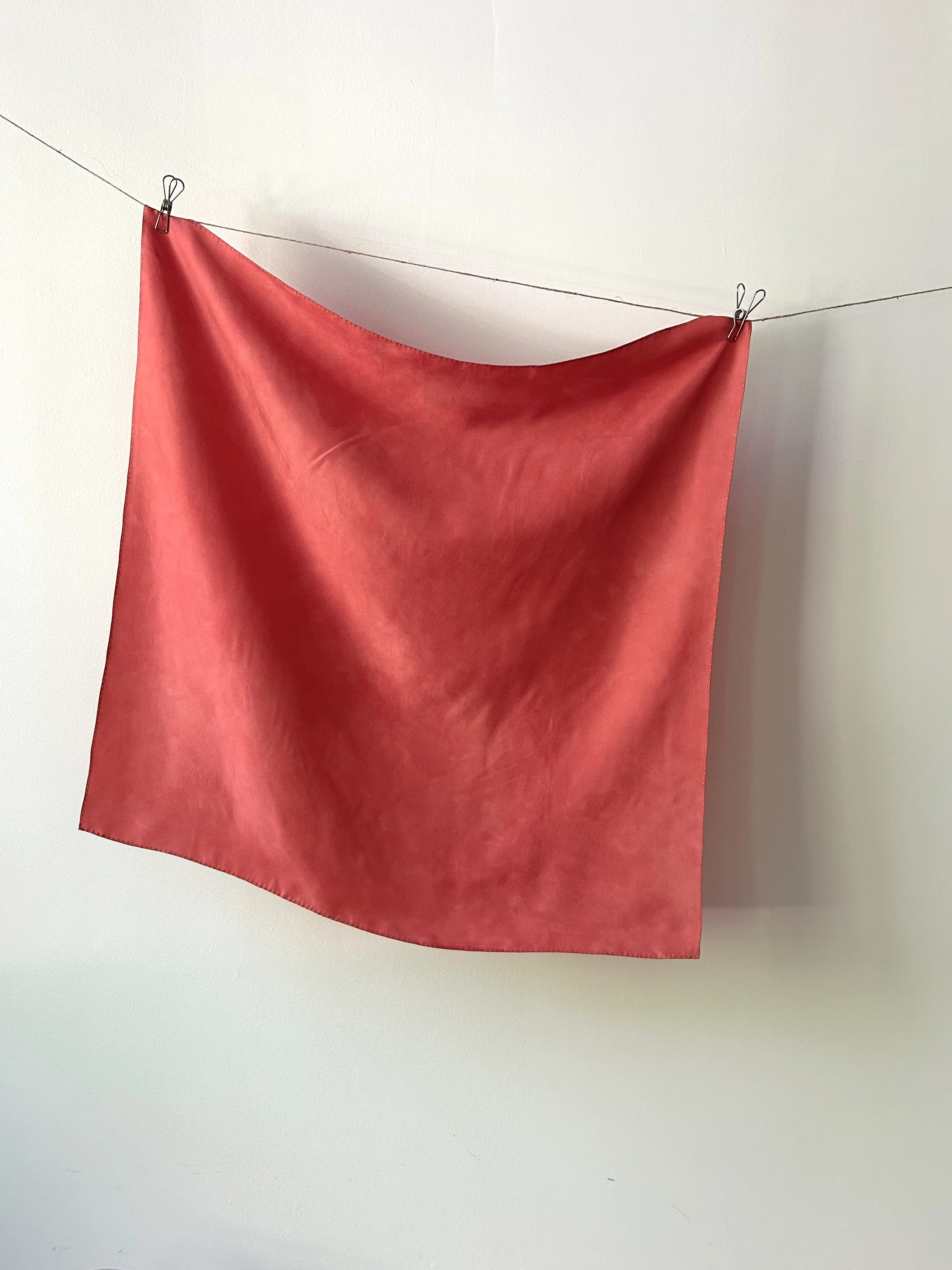 Cochineal + Madder + Walnut 01 - Square 28