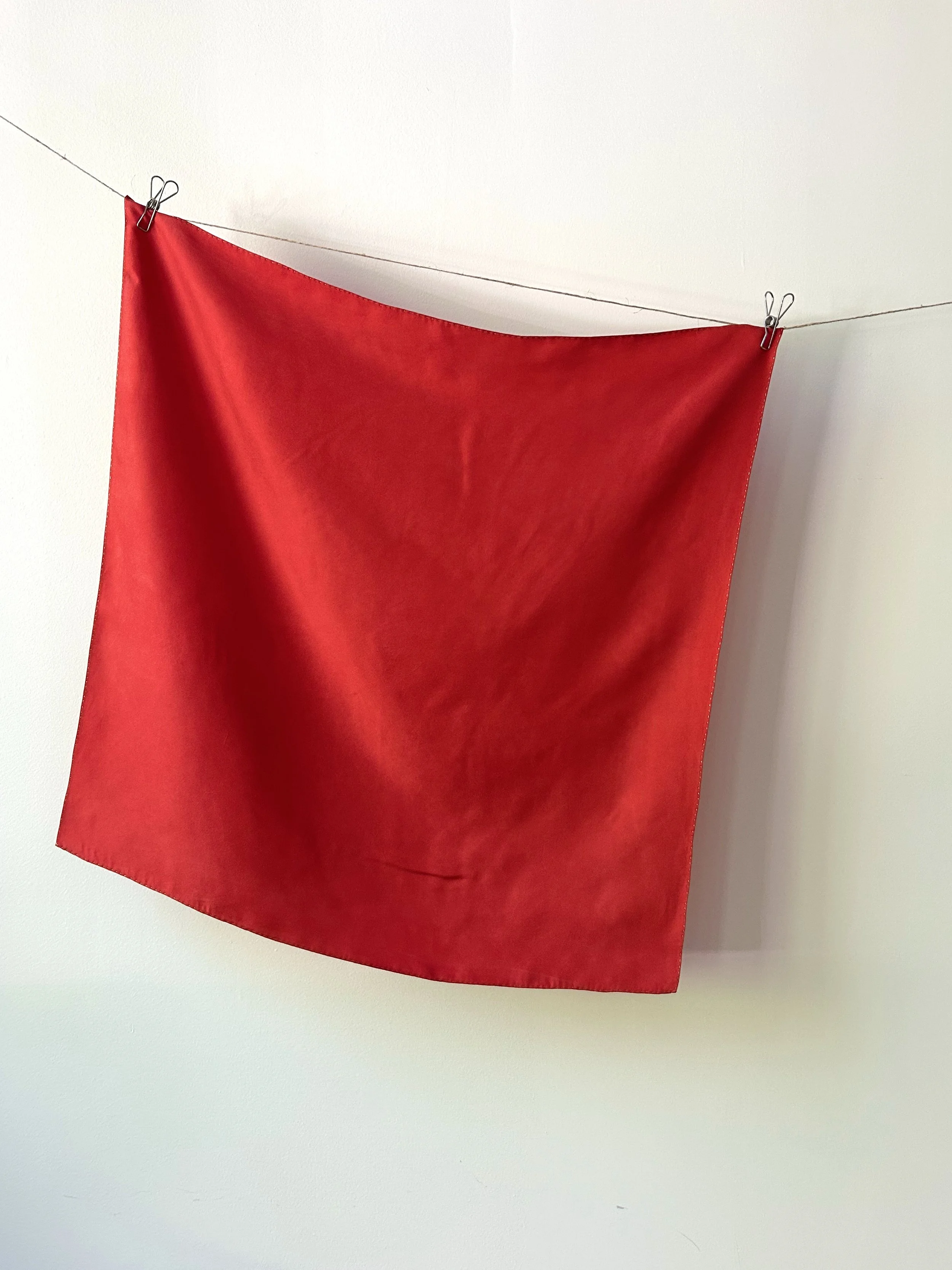 Madder + Cochineal 01- Square 28
