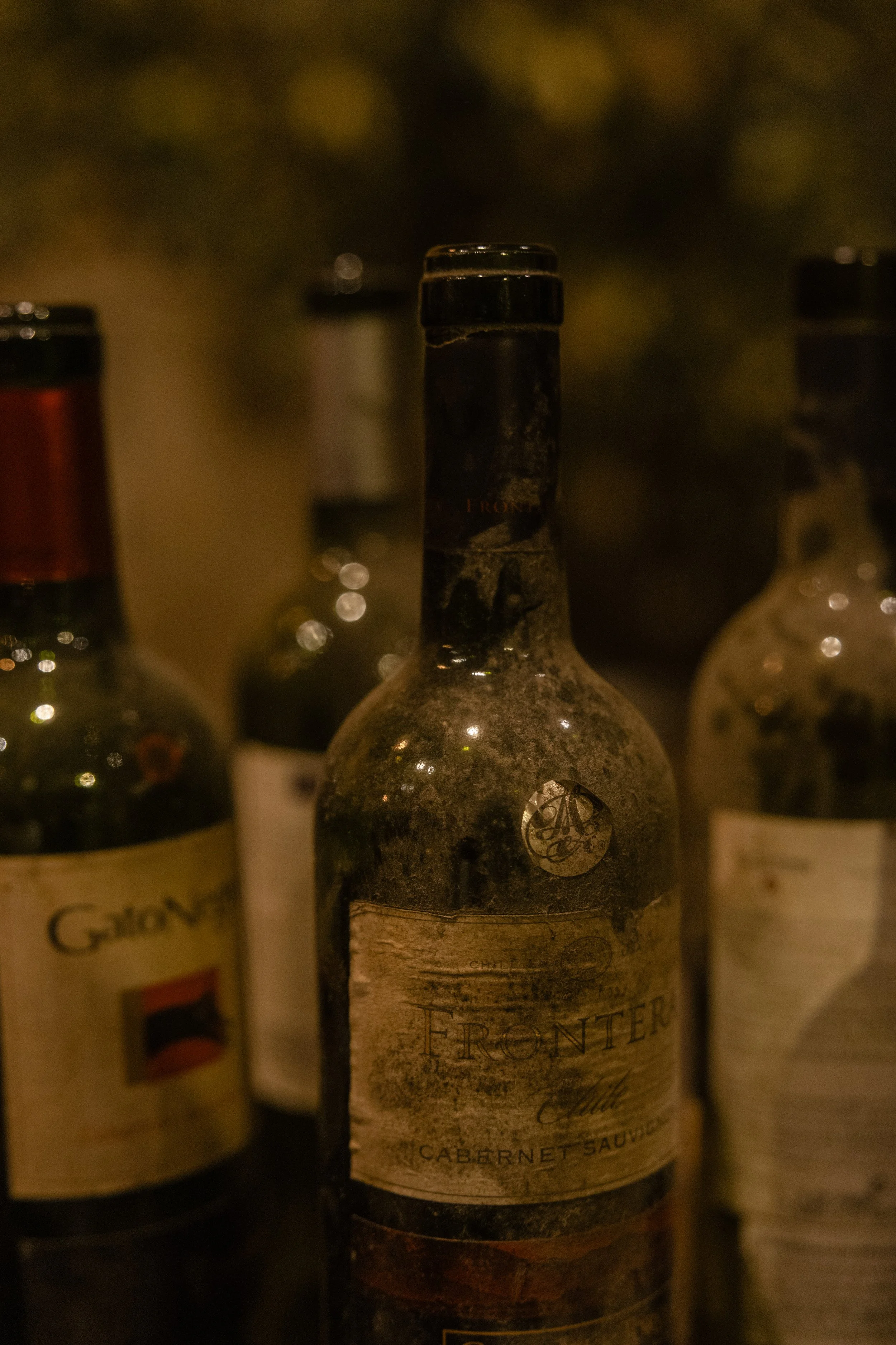 A dusty, old wine bottle with a label that reads 'Frontera' and 'Cabernet Sauvignon,' surrounded by other blurry wine bottles in a dimly lit setting.