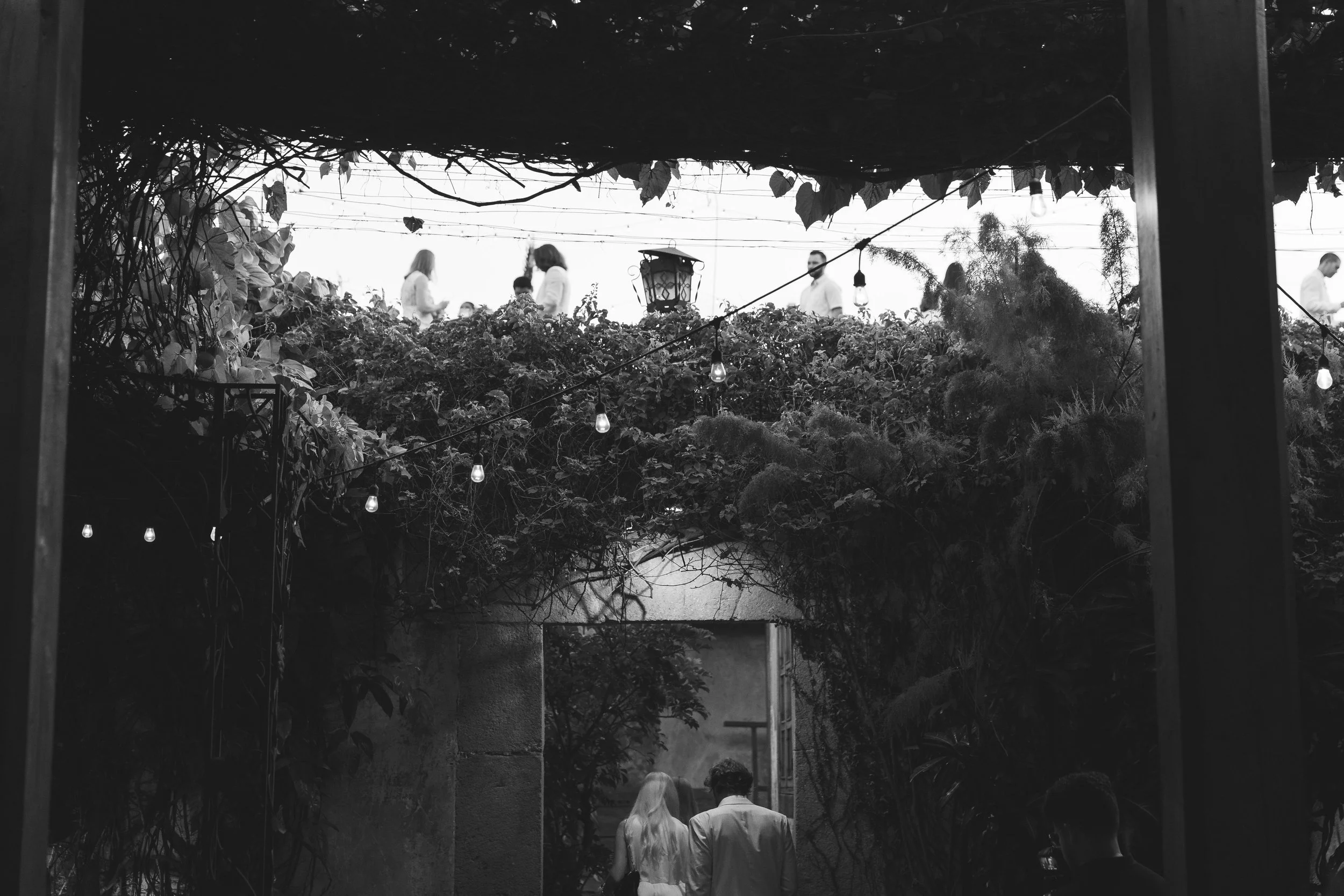 Black and white photo of a couple walking through a garden with lush foliage, viewed from underneath a structure with hanging lights and a trellis overhead. People are visible in the background on a terrace or rooftop area.
