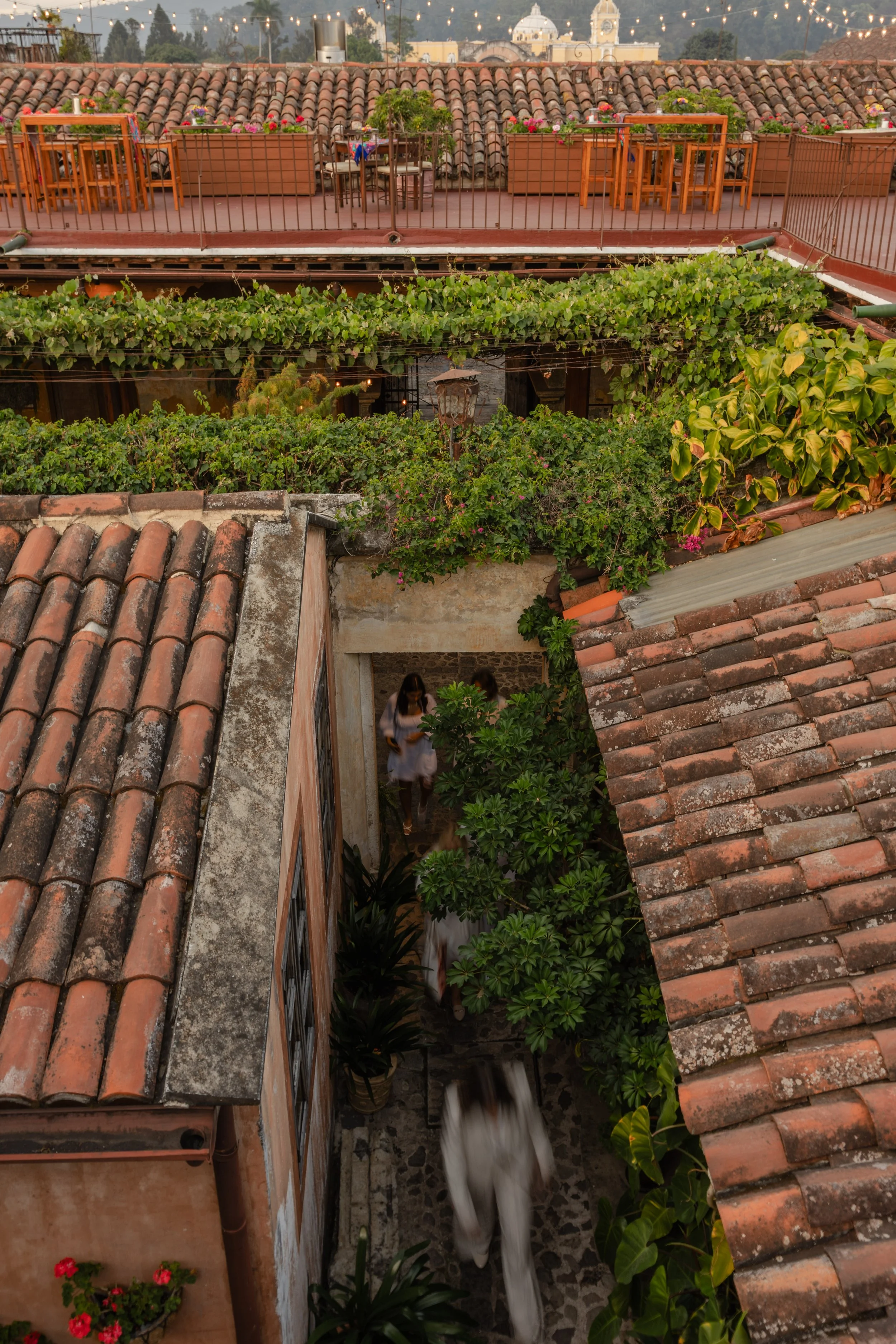 A view of a rooftop terrace with outdoor dining tables and chairs, decorated with potted plants and flowers, above a lush courtyard with plants, trees, and people walking.