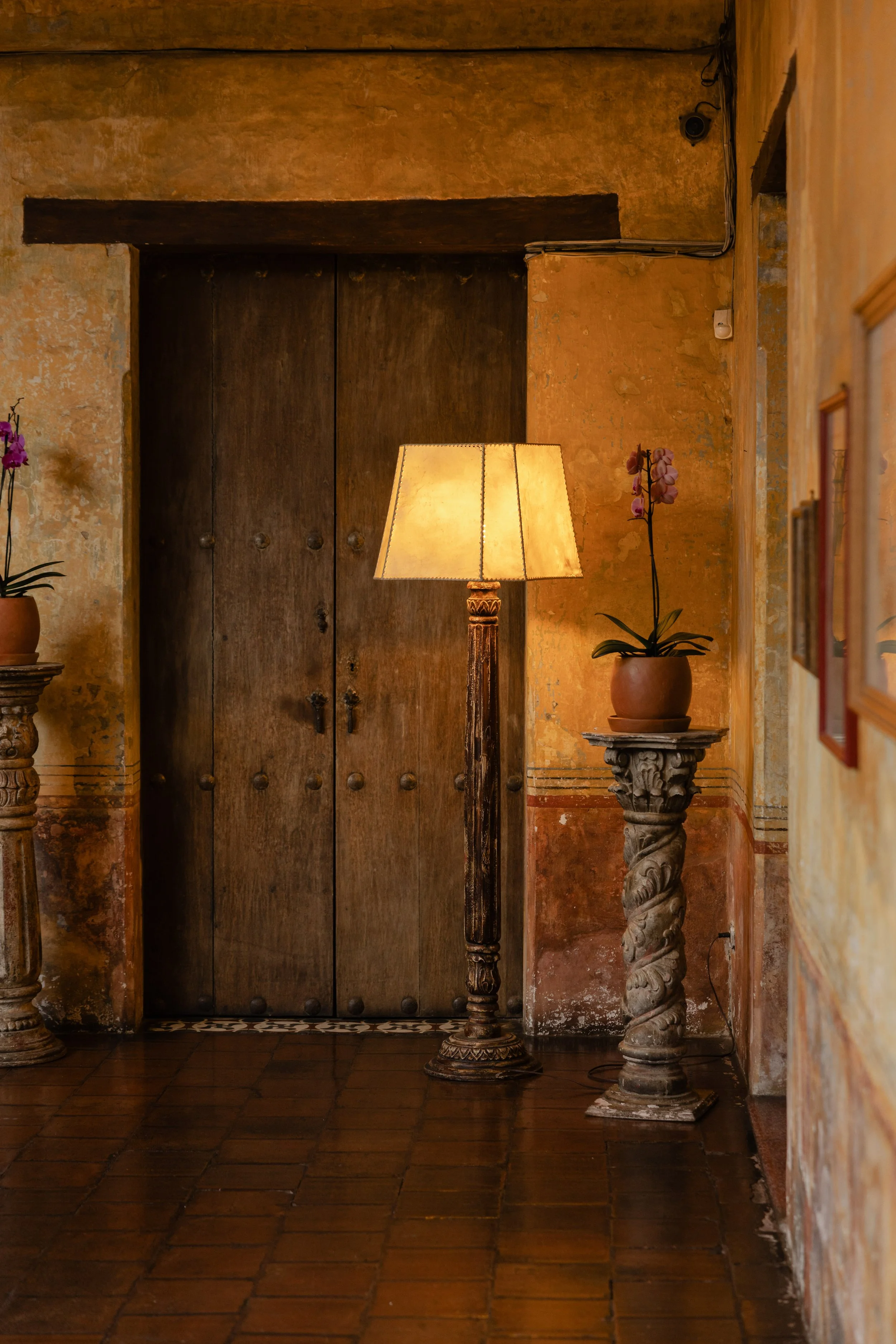 Wooden door flanked by vintage pedestal stands with potted orchids, lit by a tall standing lamp, in a rustic interior.