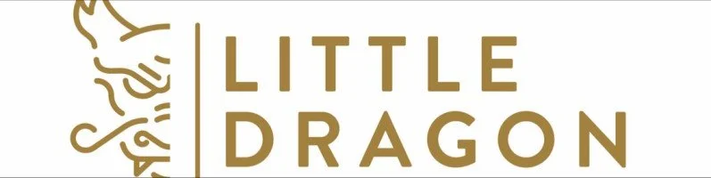 LITTLE DRAGON AI